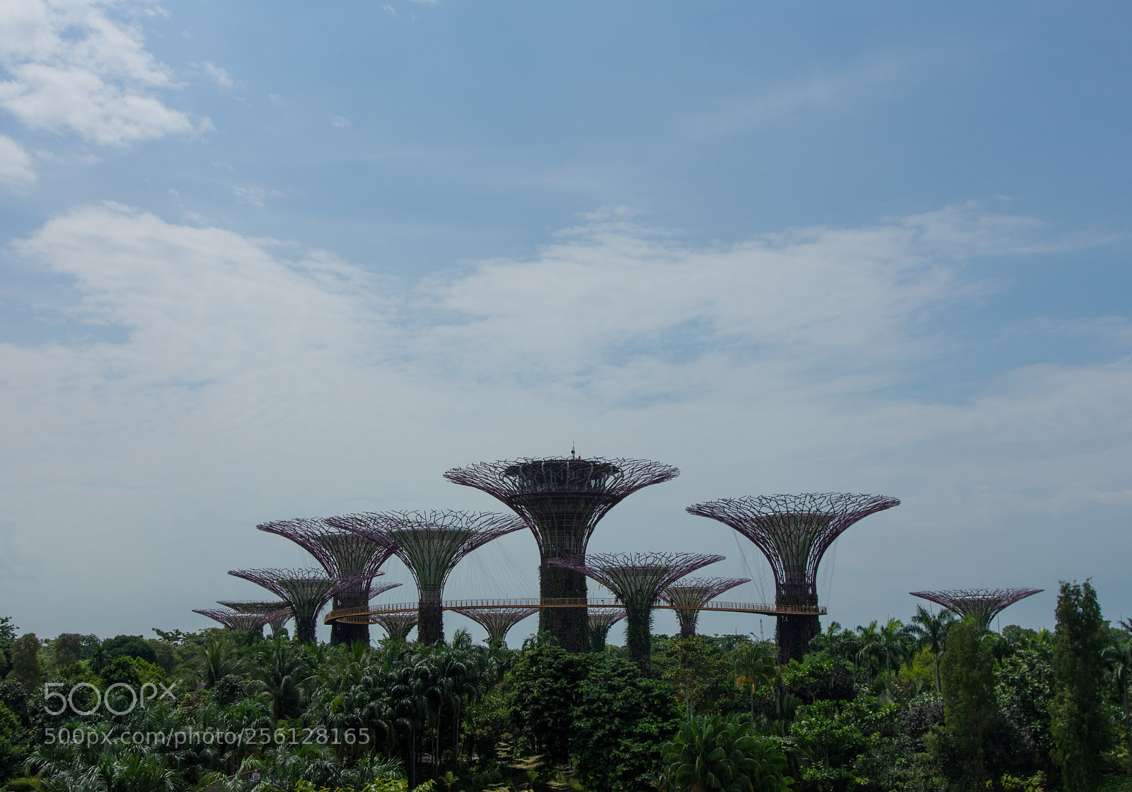 Pentax K-3 sample photo. Supertree grove, gardens by photography