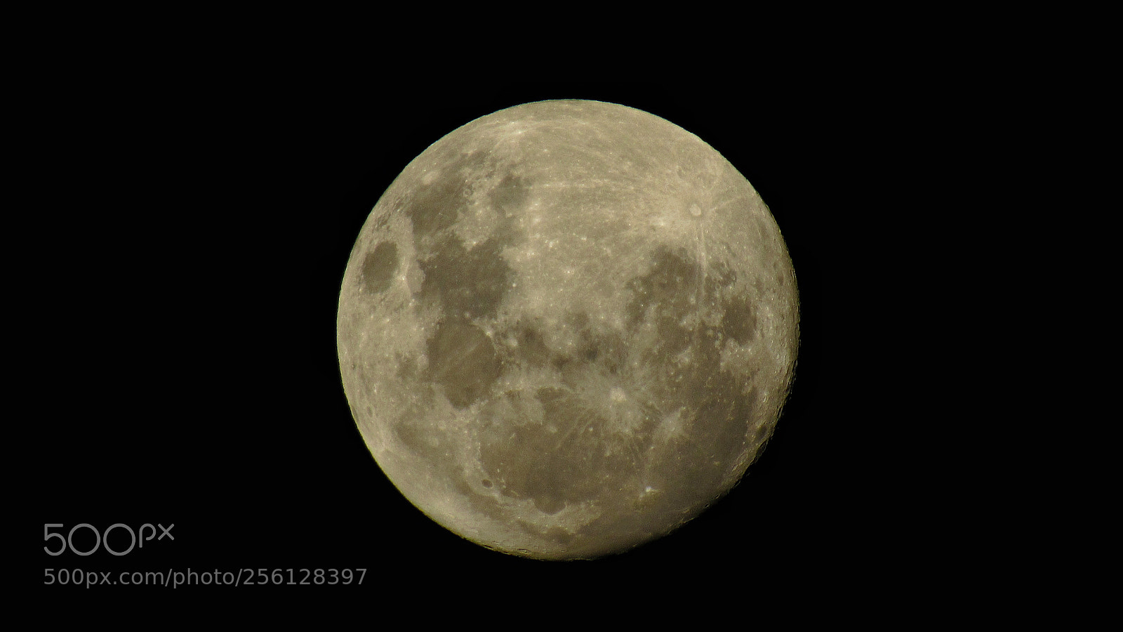 Canon PowerShot SX530 HS sample photo. Luna llena photography