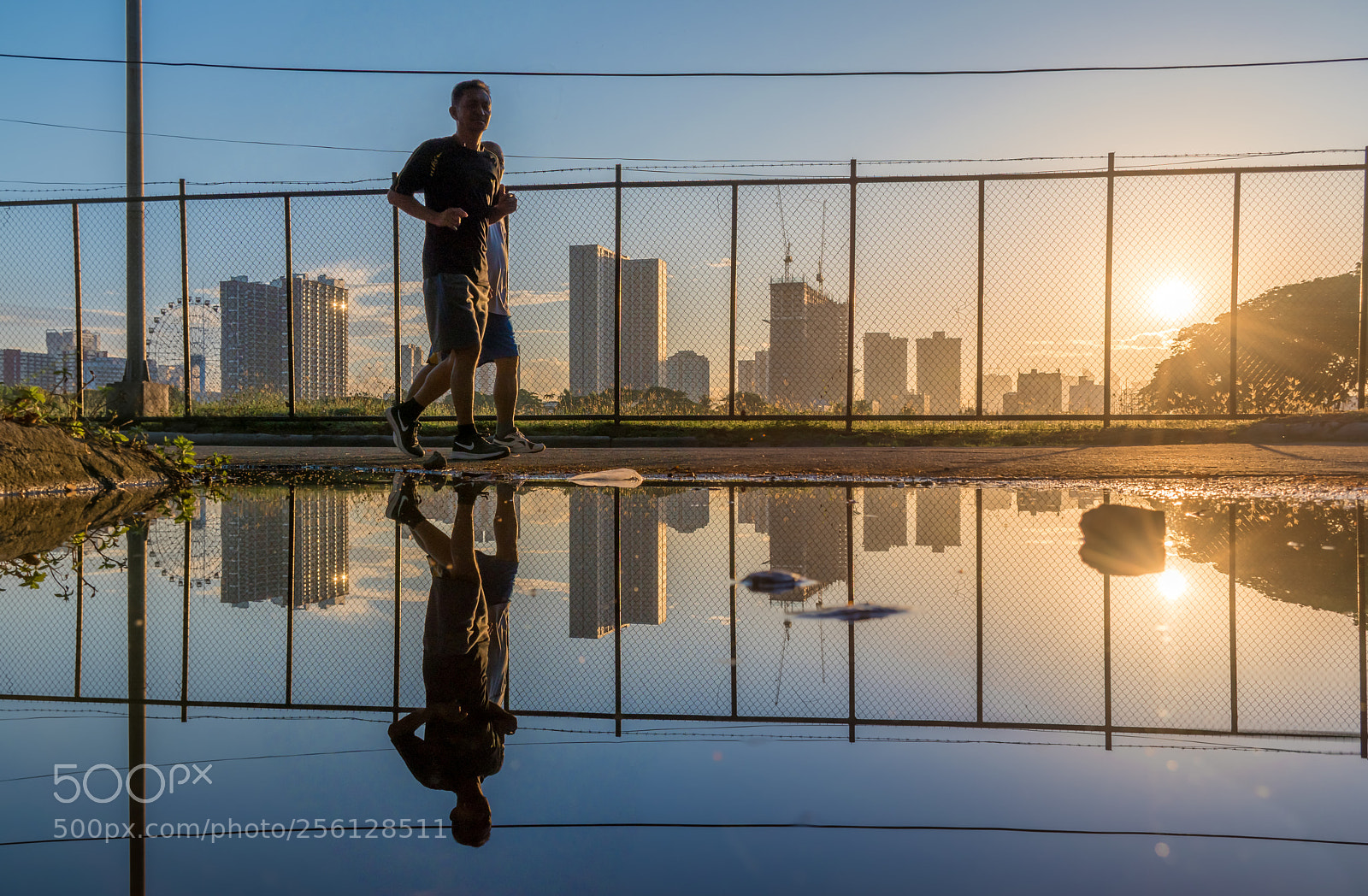 Nikon D5500 sample photo. Morning routine photography