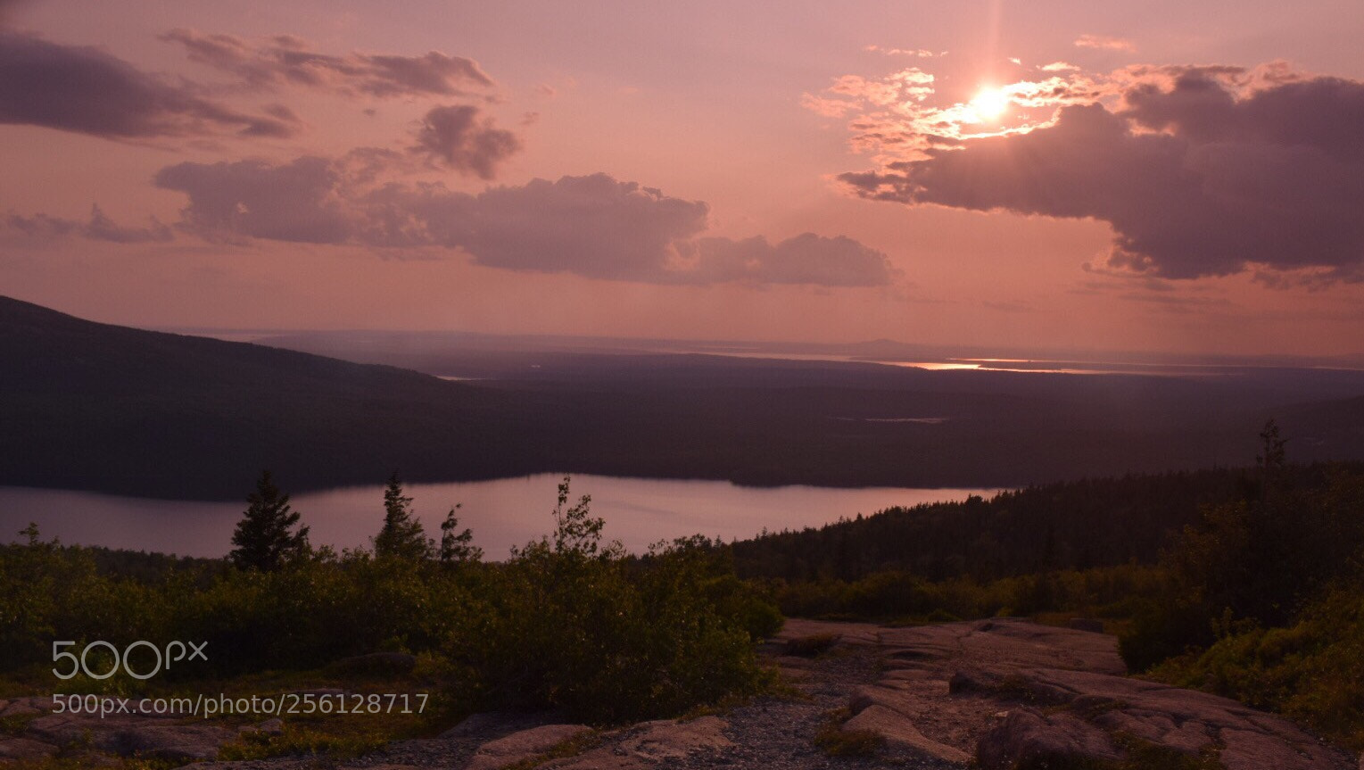 Nikon D3300 sample photo. Untitled photography