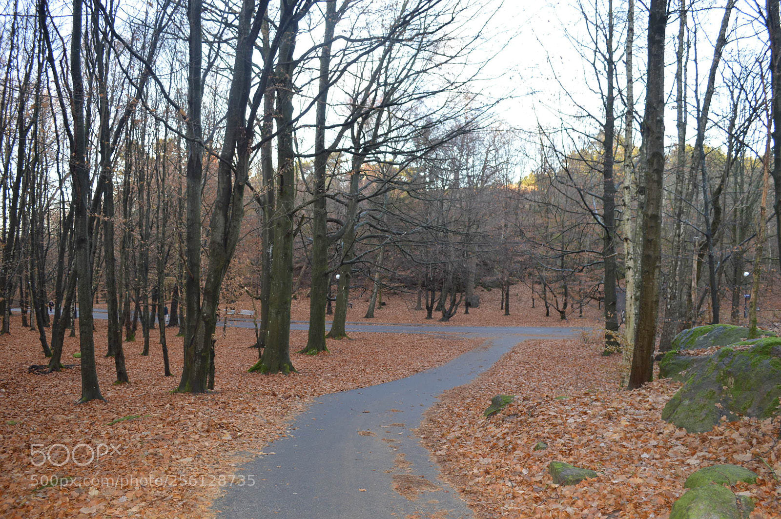 Nikon D3200 sample photo. Dsc photography