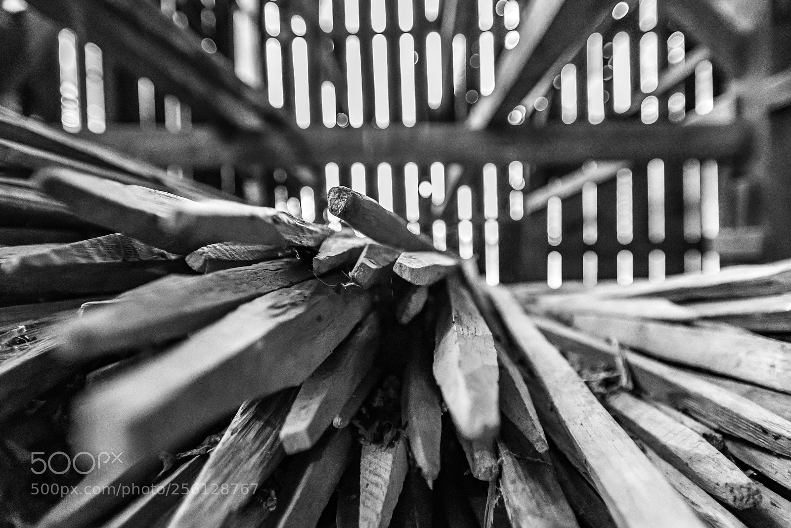 Nikon D750 sample photo. Lines and light and photography