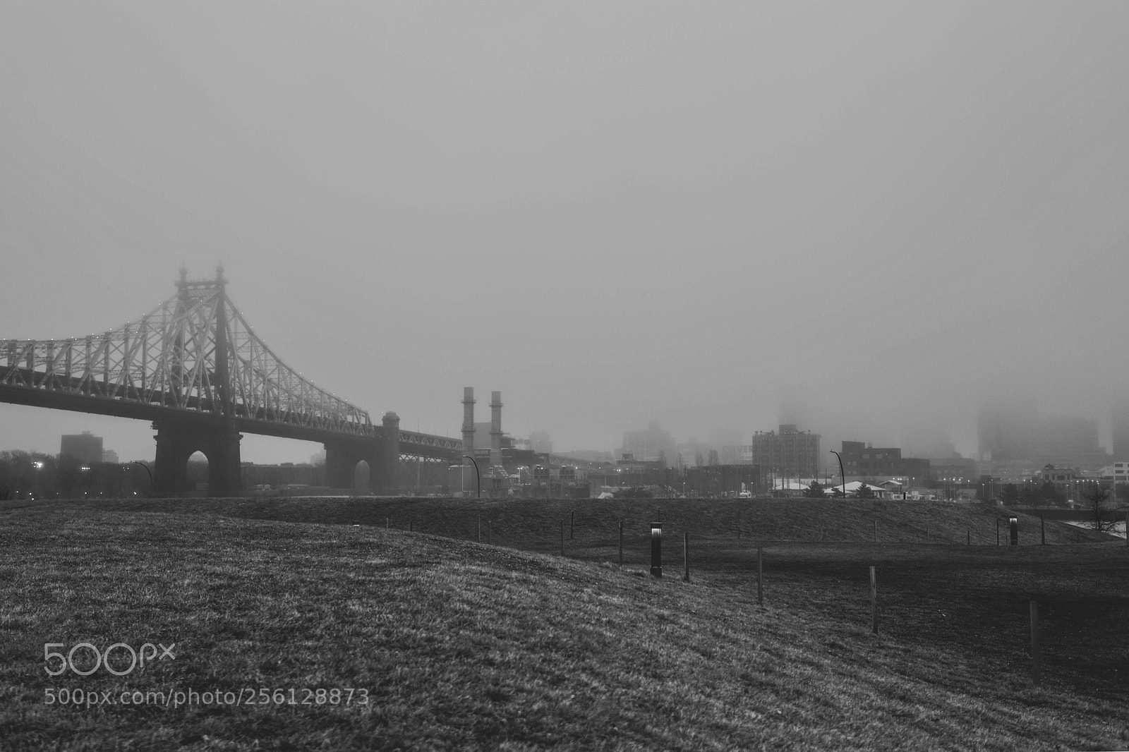 Canon EOS 6D Mark II sample photo. Within the mist photography