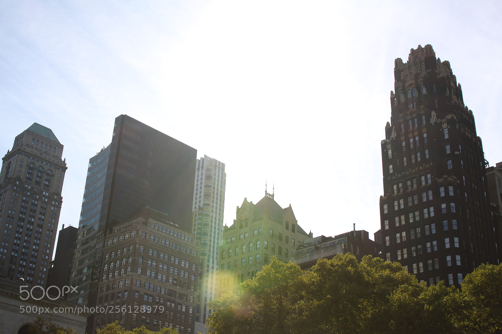 Canon EOS 50D sample photo. New york and boston photography