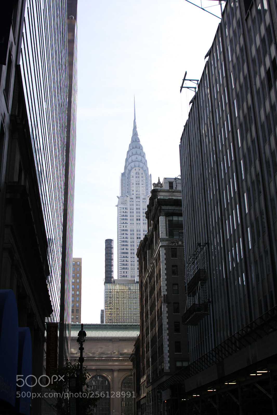 Canon EOS 50D sample photo. New york and boston photography
