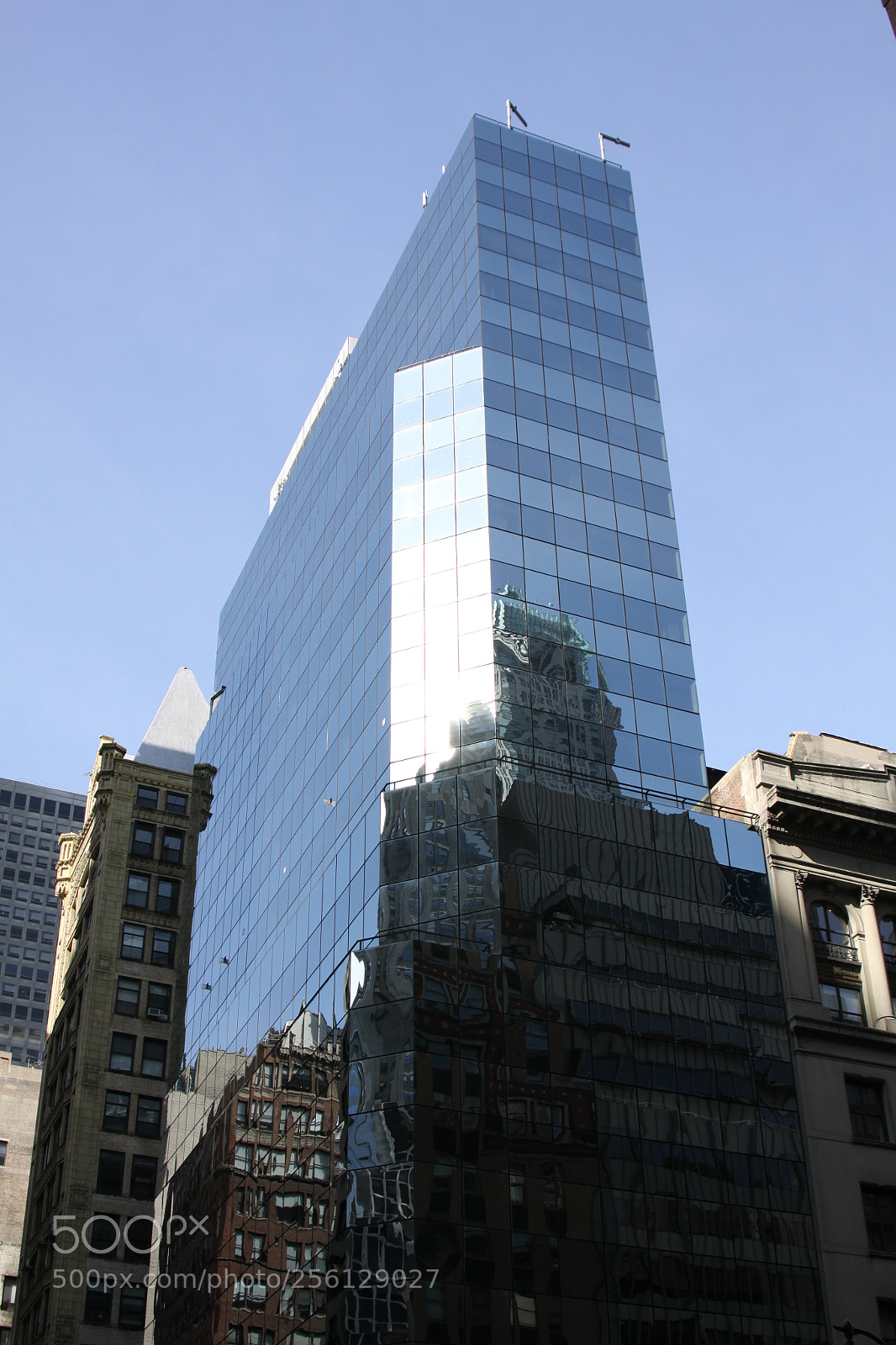 Canon EOS 50D sample photo. New york and boston photography