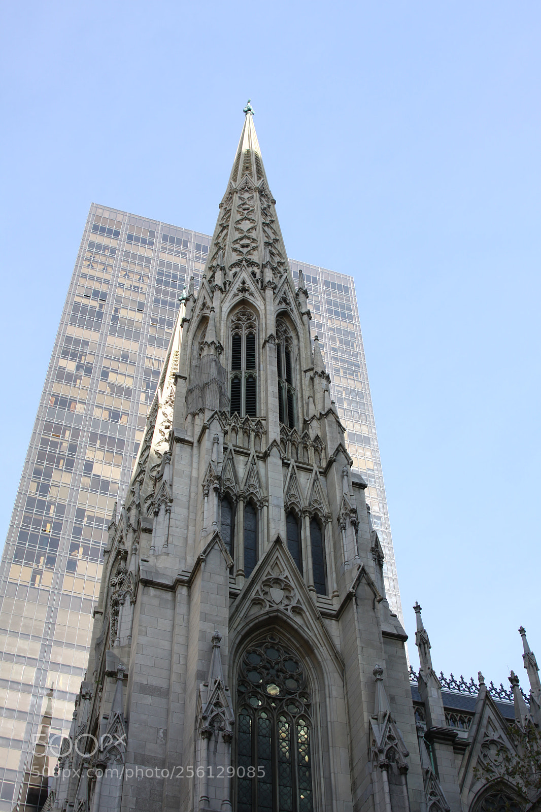 Canon EOS 50D sample photo. New york and boston photography