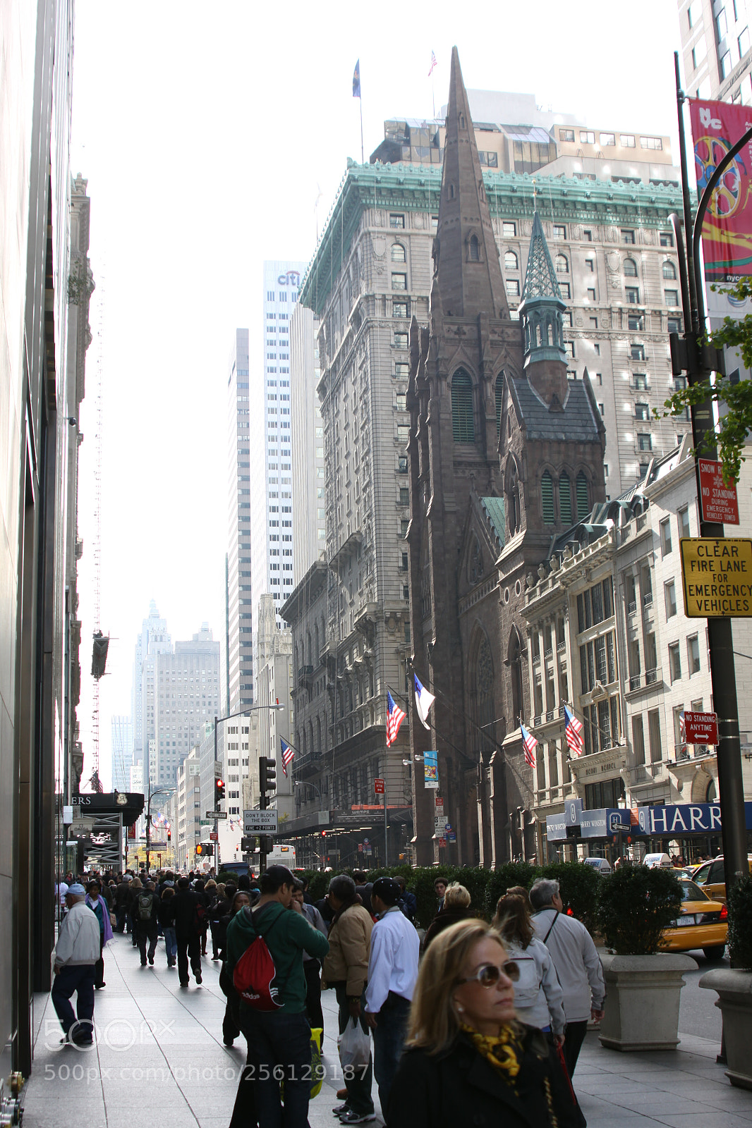 Canon EOS 50D sample photo. New york and boston photography