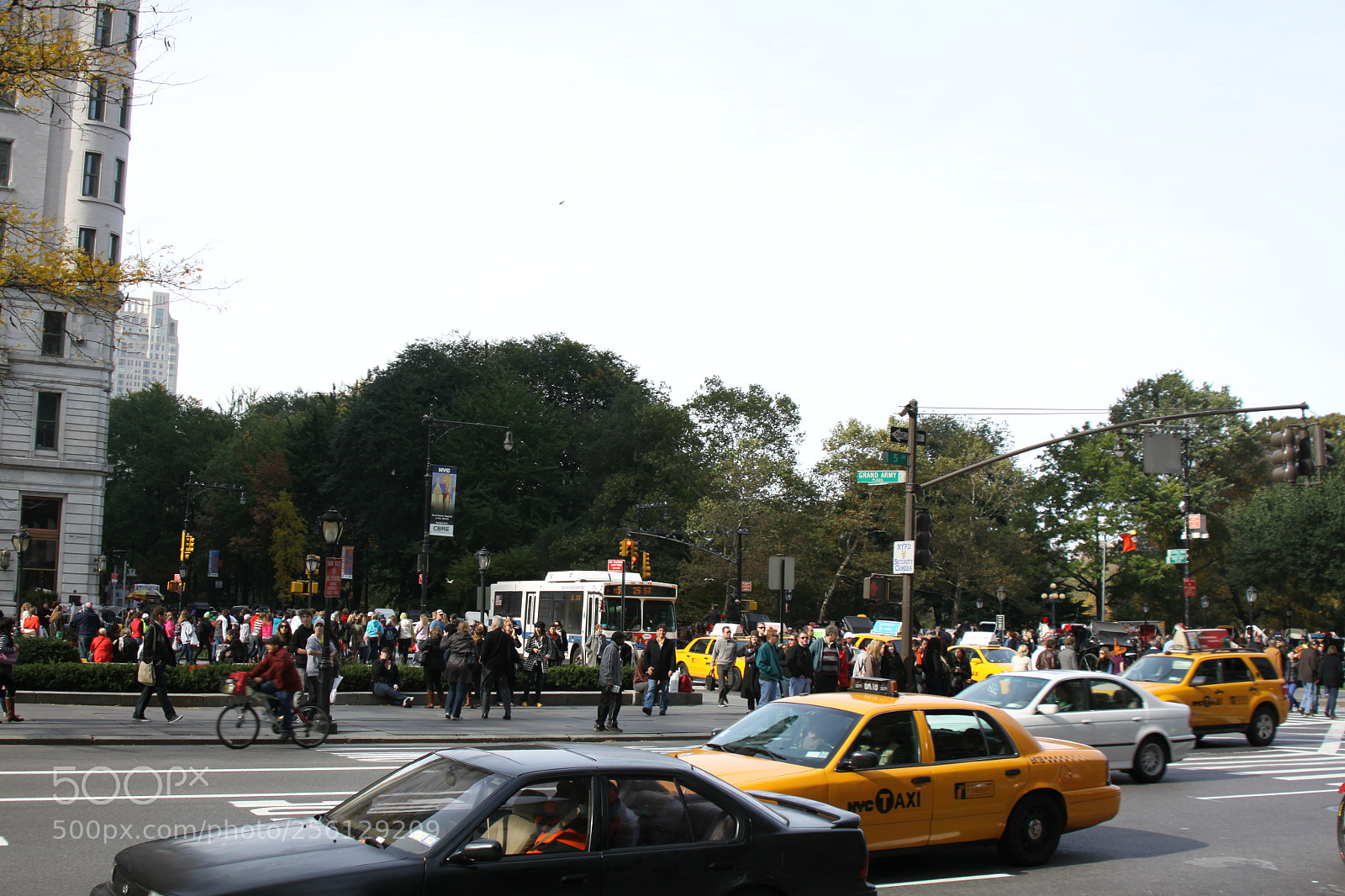 Canon EOS 50D sample photo. New york and boston photography