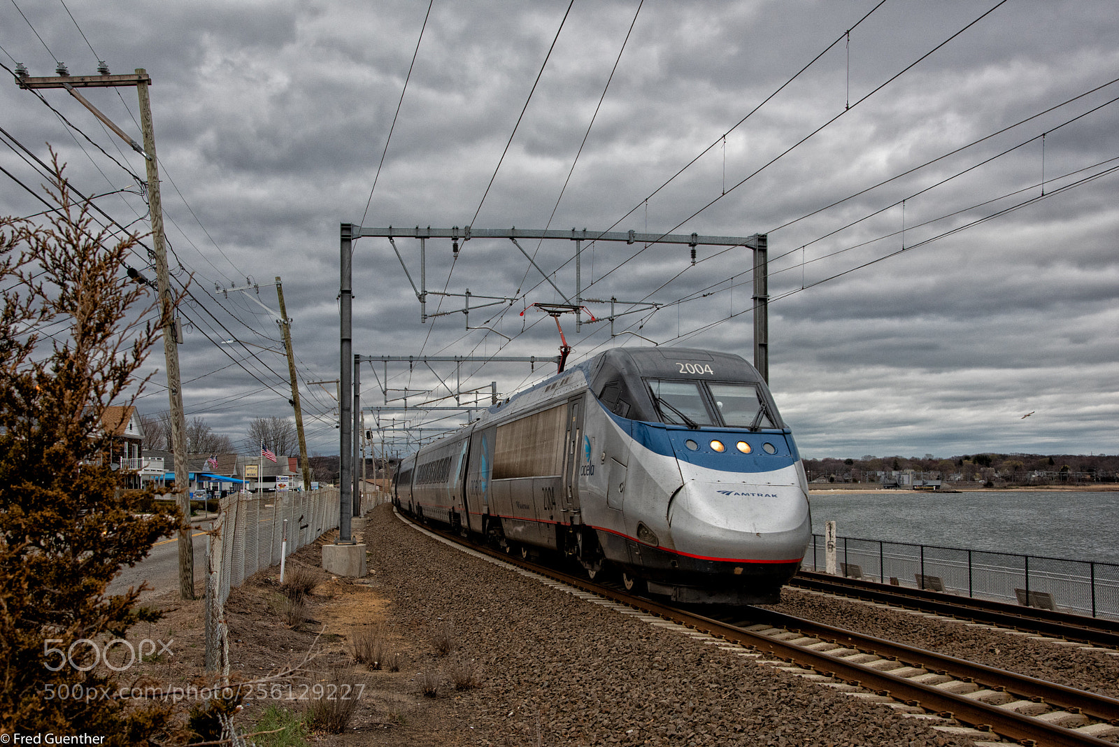 Nikon D810 sample photo. Acela niantic photography