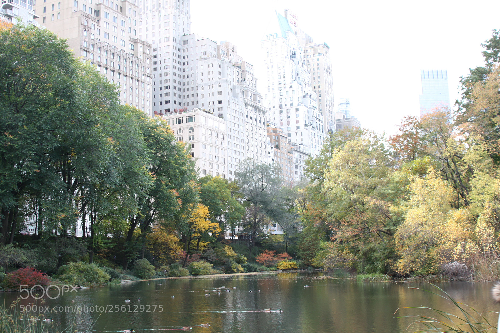 Canon EOS 50D sample photo. New york and boston photography