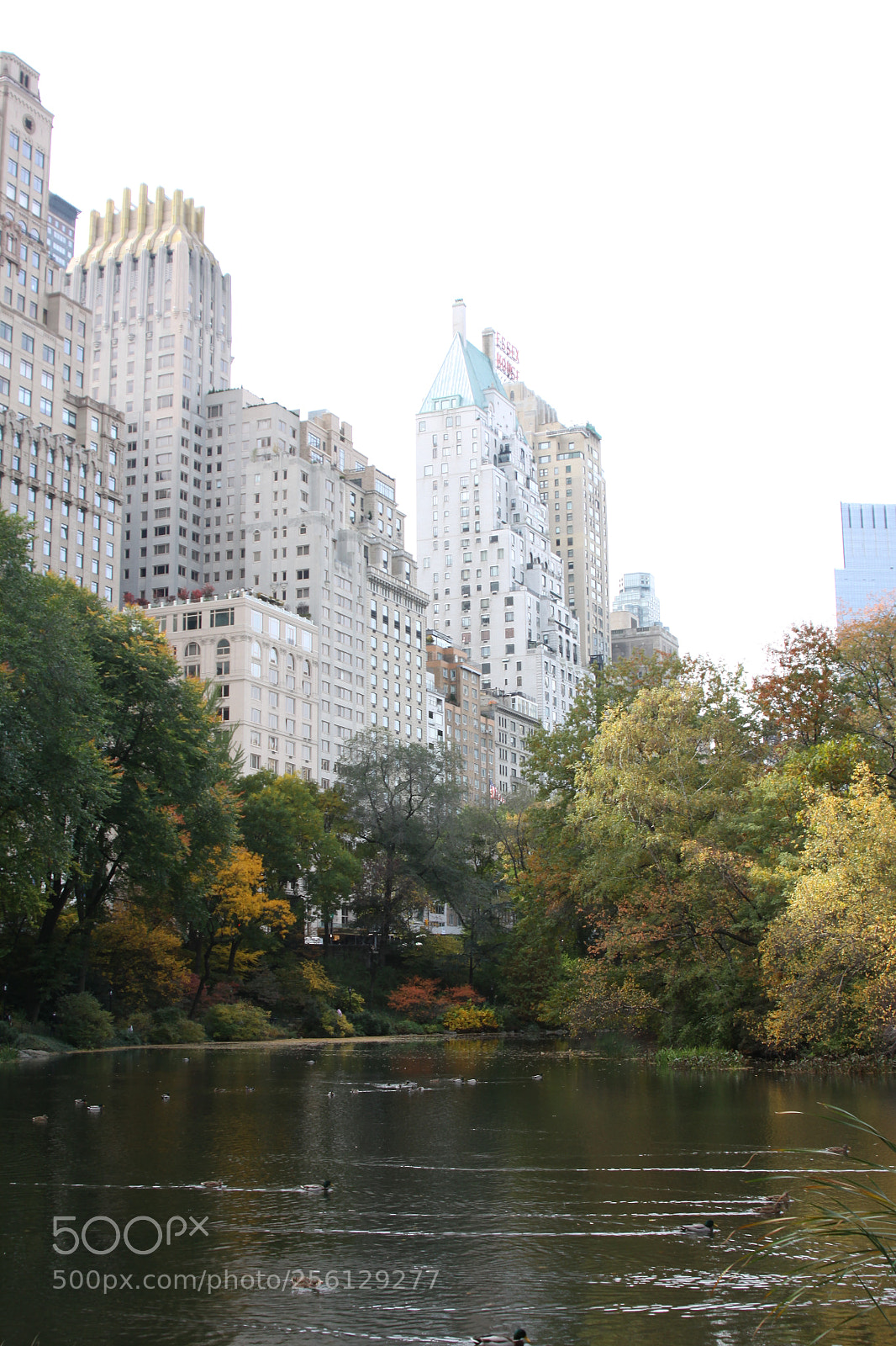 Canon EOS 50D sample photo. New york and boston photography
