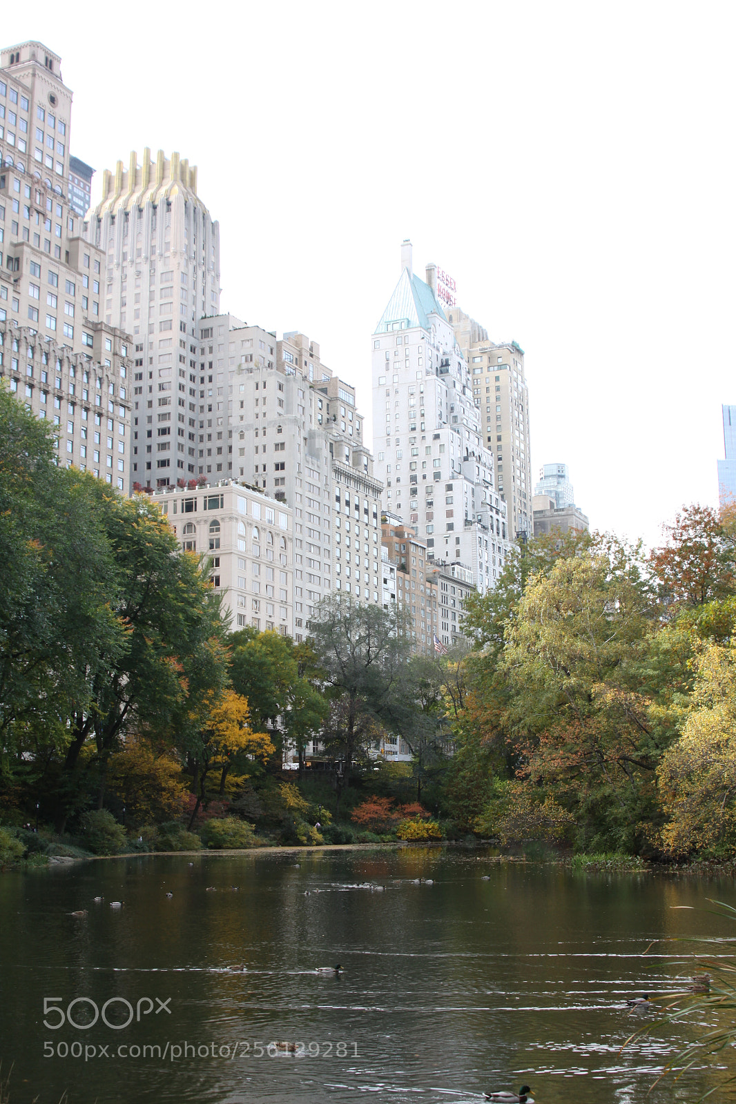 Canon EOS 50D sample photo. New york and boston photography