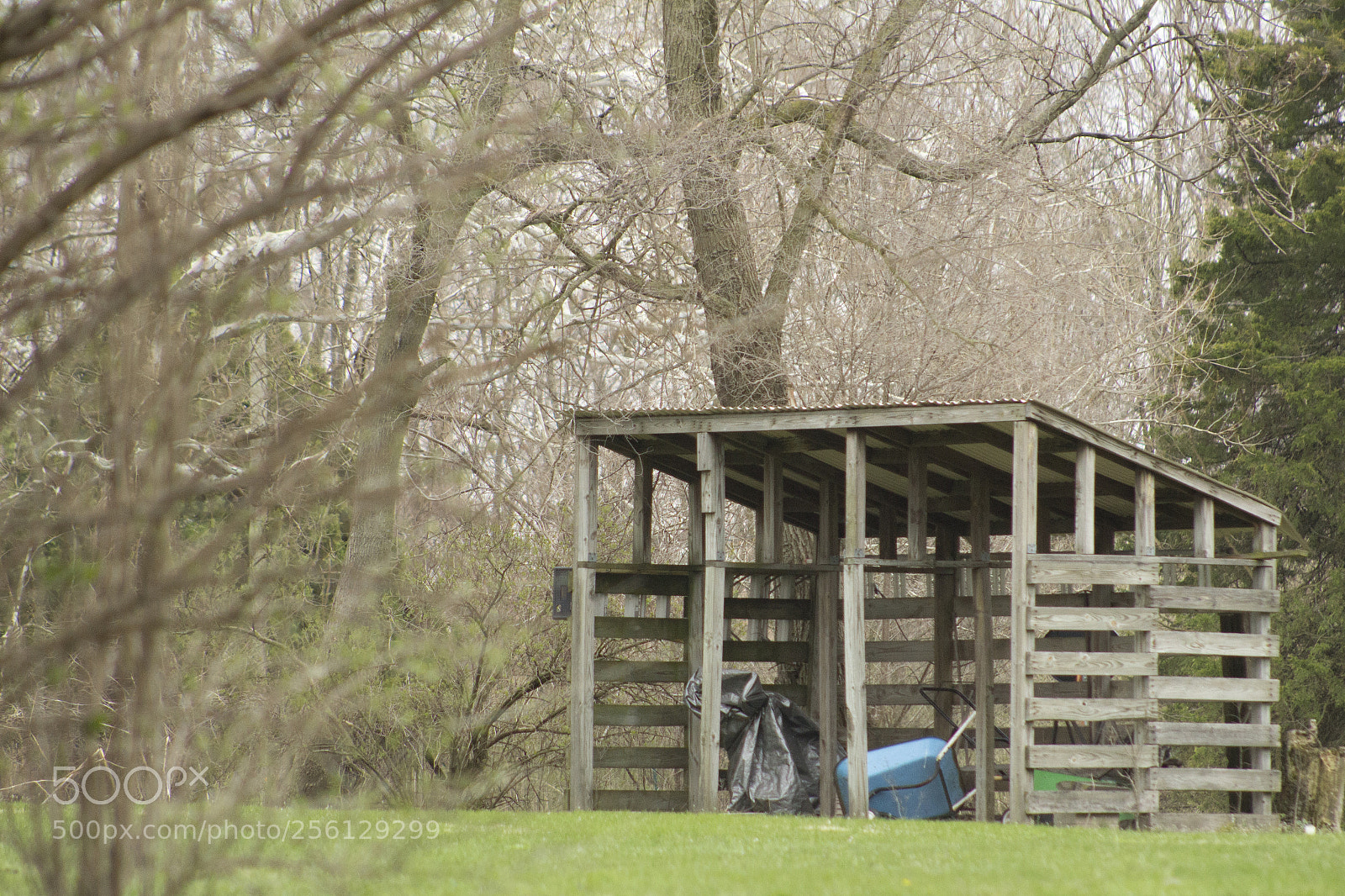Canon EOS 1200D (EOS Rebel T5 / EOS Kiss X70 / EOS Hi) sample photo. Backyard shed. photography