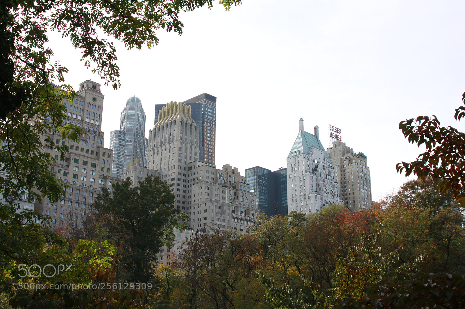 Canon EOS 50D sample photo. New york and boston photography