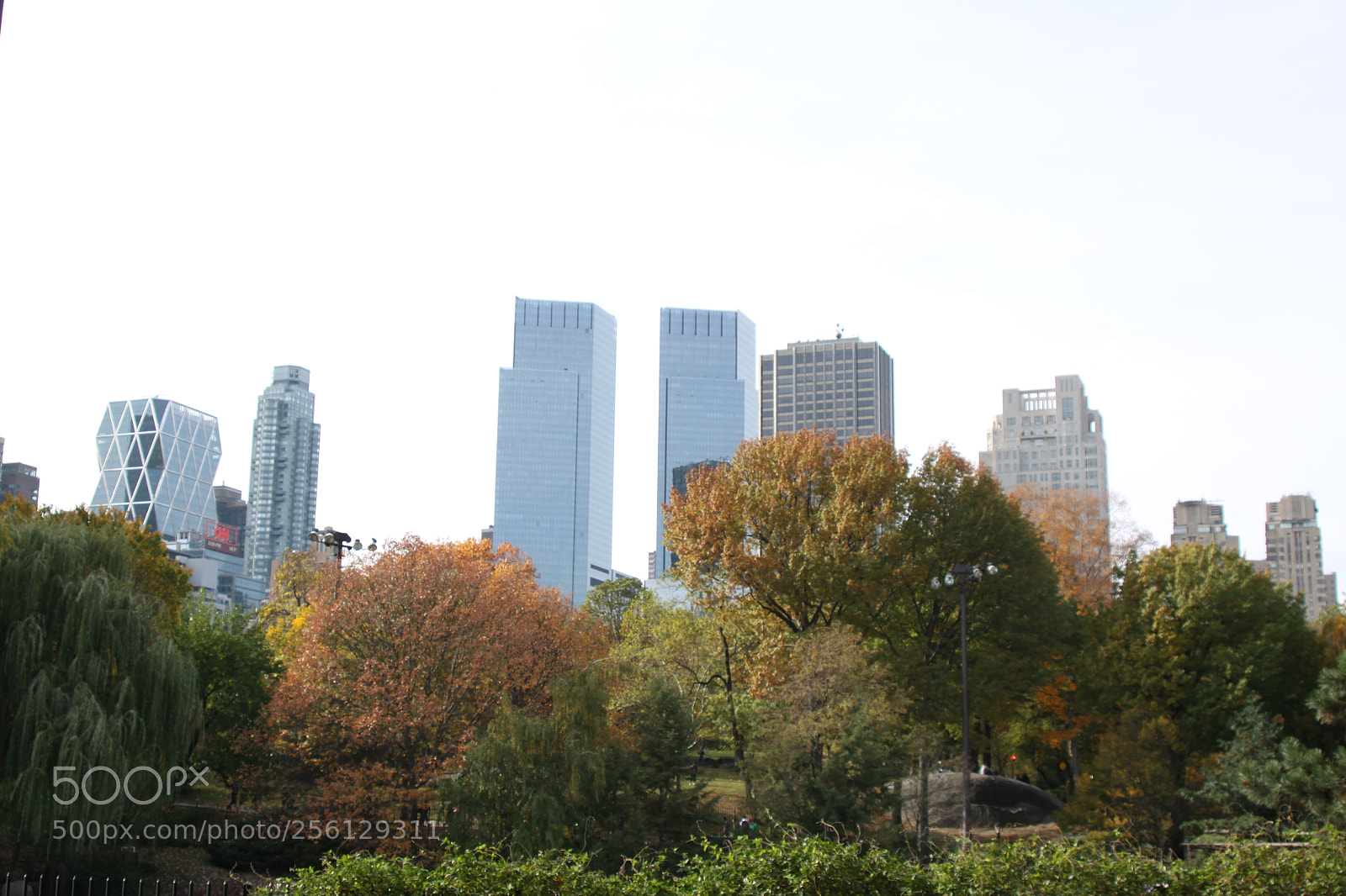 Canon EOS 50D sample photo. New york and boston photography