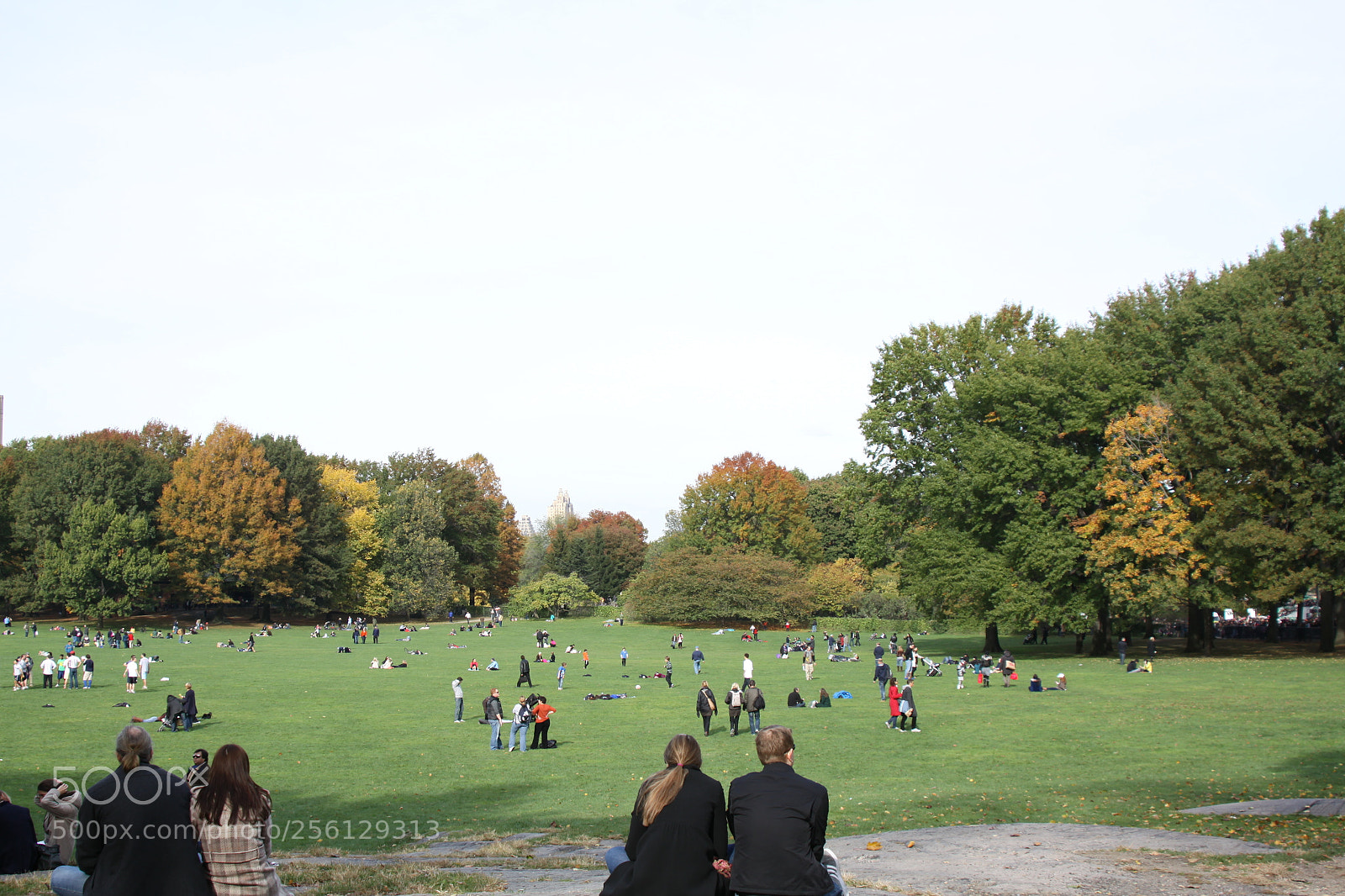 Canon EOS 50D sample photo. New york and boston photography