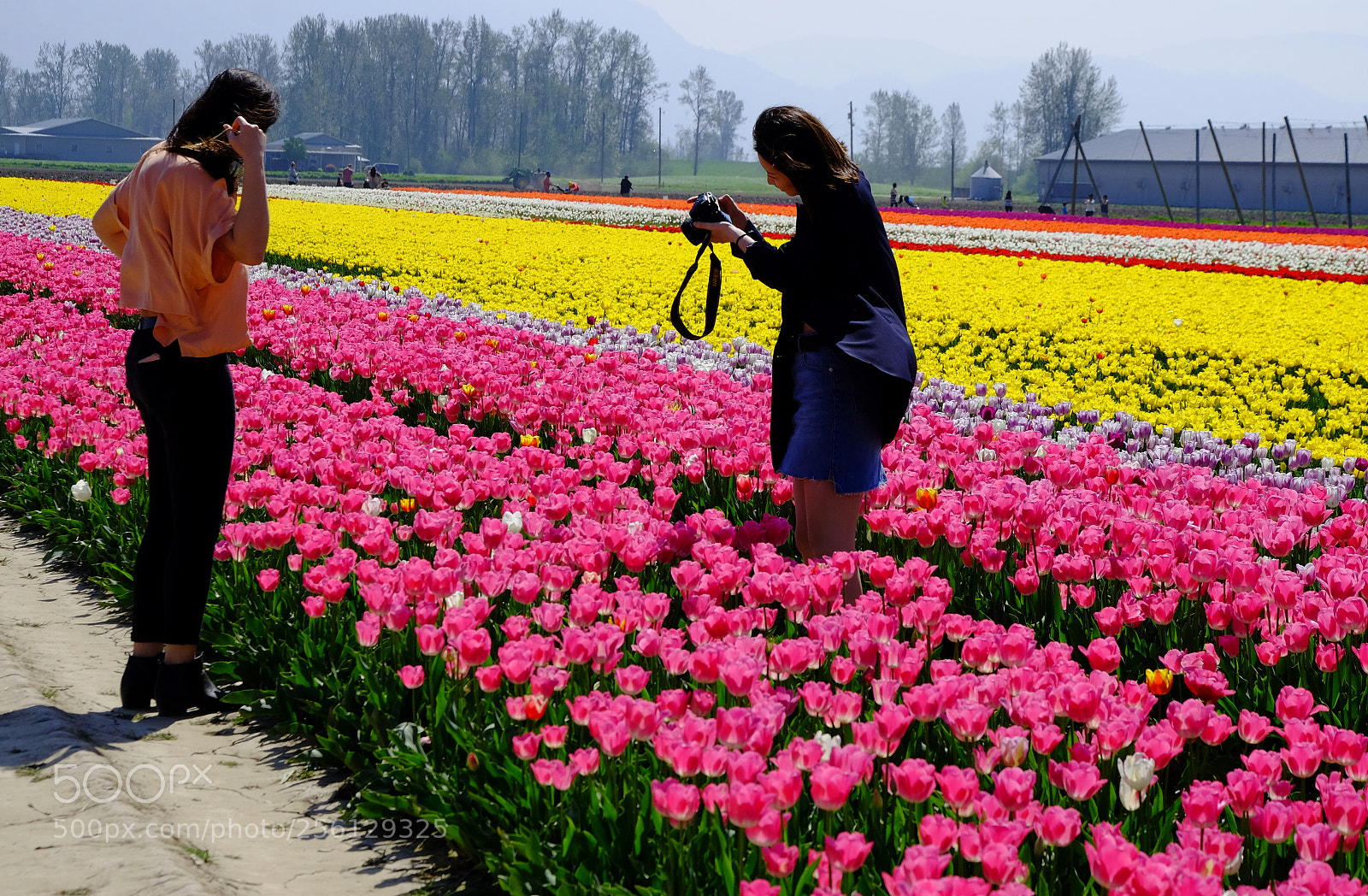Fujifilm X-T1 sample photo. Who approves your shot photography
