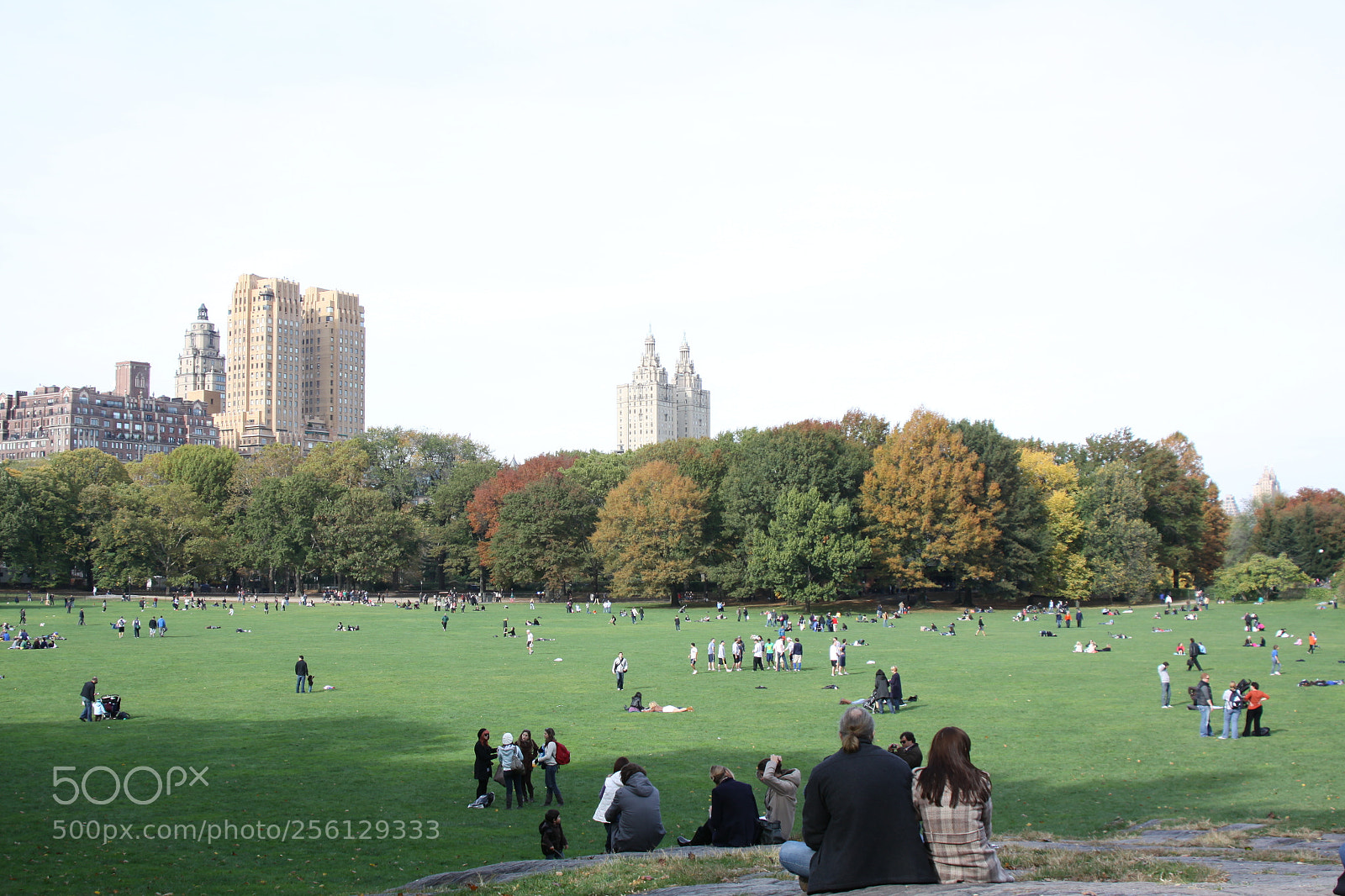 Canon EOS 50D sample photo. New york and boston photography