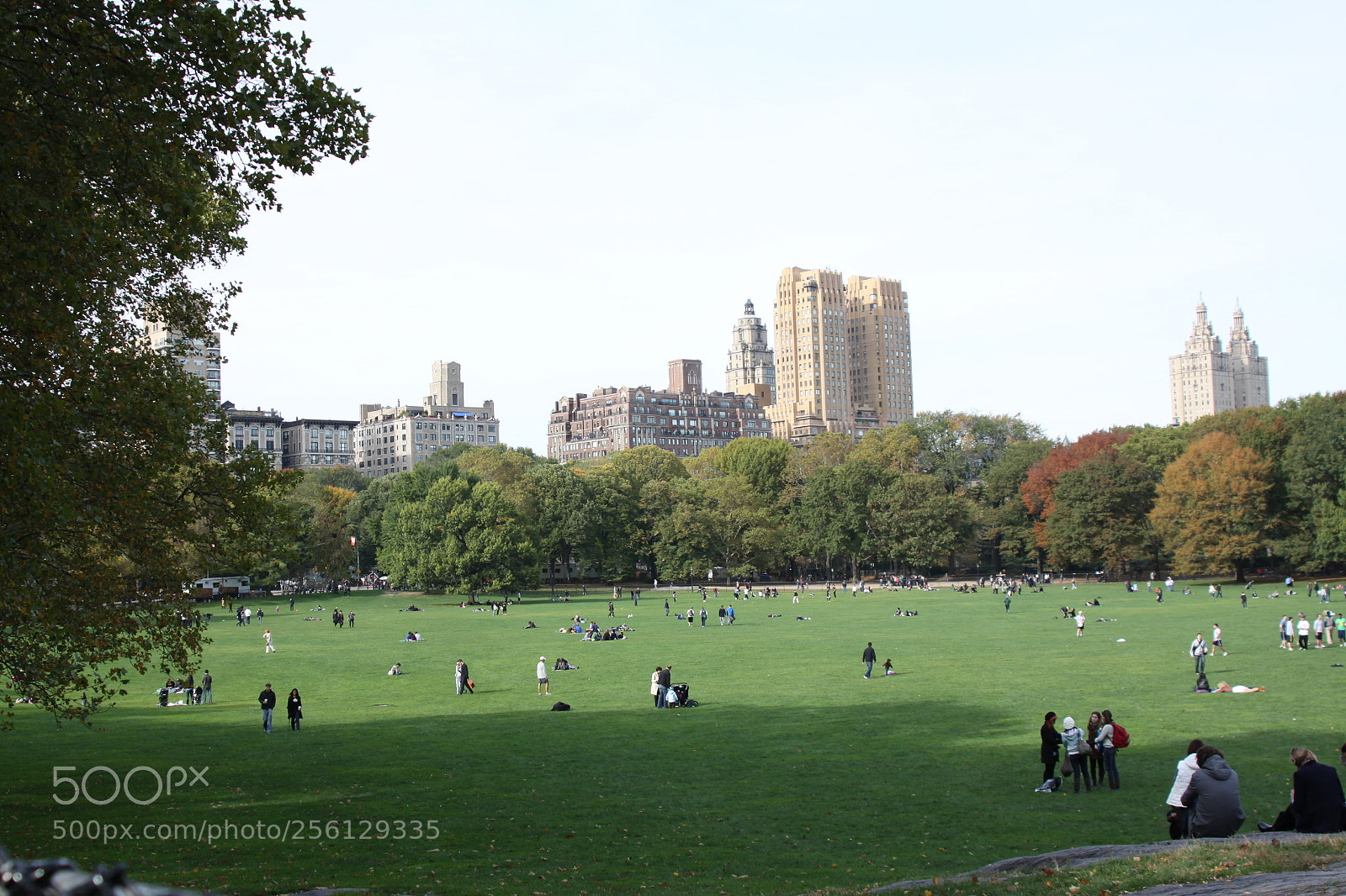 Canon EOS 50D sample photo. New york and boston photography