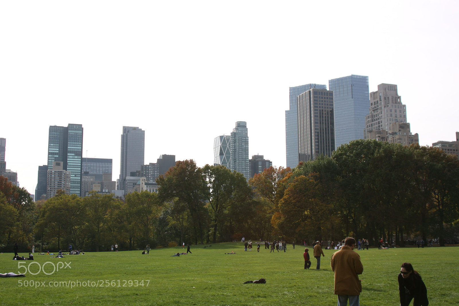 Canon EOS 50D sample photo. New york and boston photography