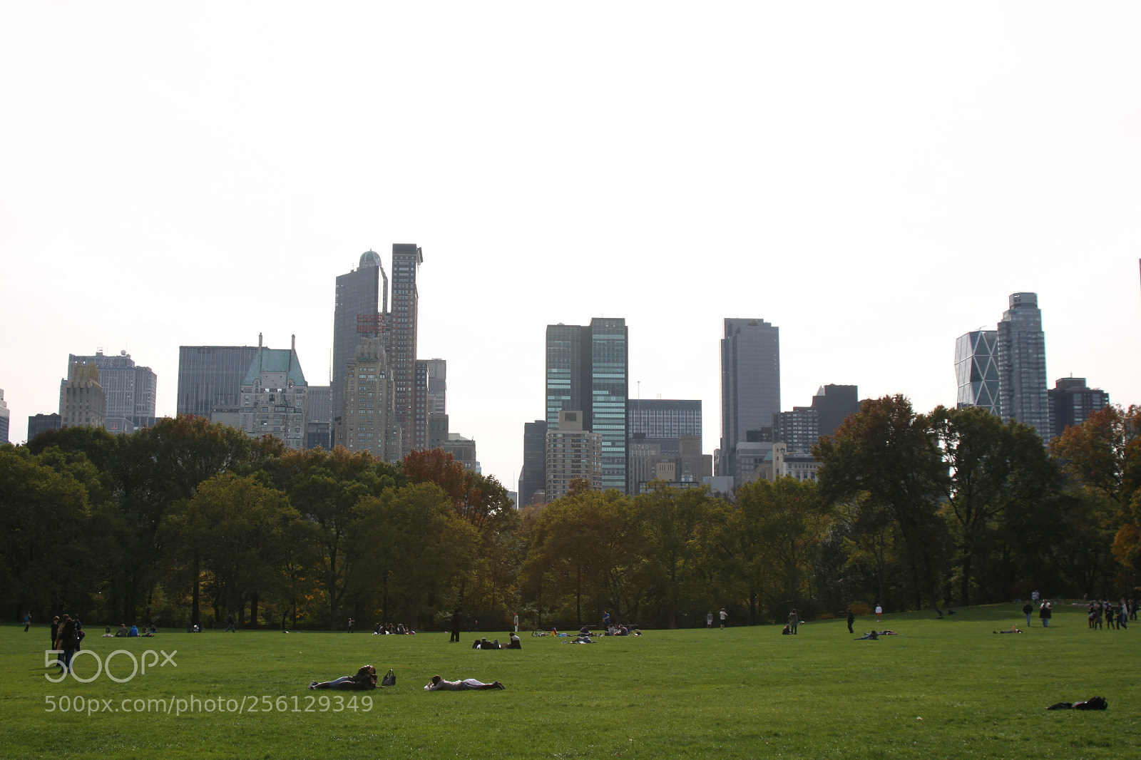Canon EOS 50D sample photo. New york and boston photography