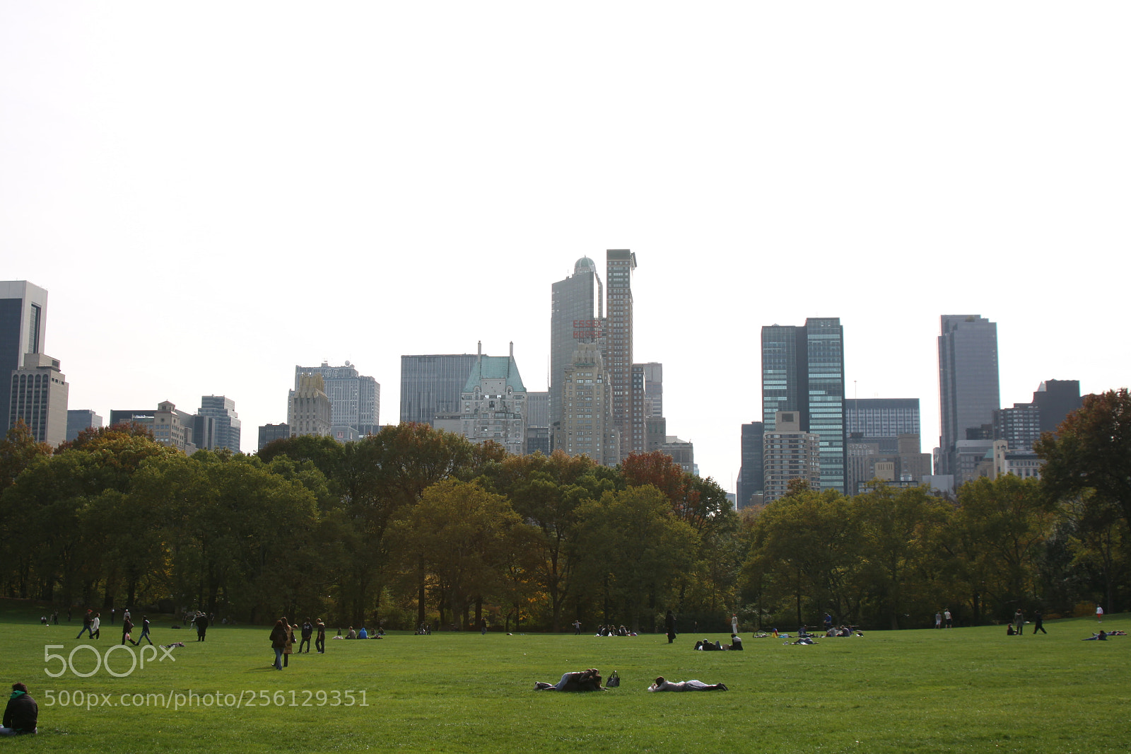 Canon EOS 50D sample photo. New york and boston photography