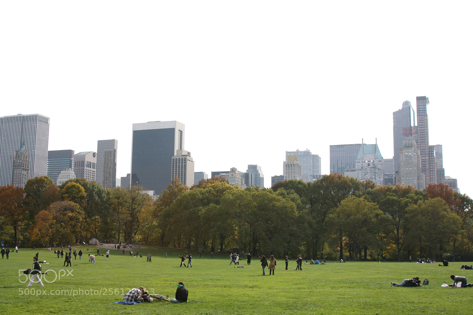 Canon EOS 50D sample photo. New york and boston photography
