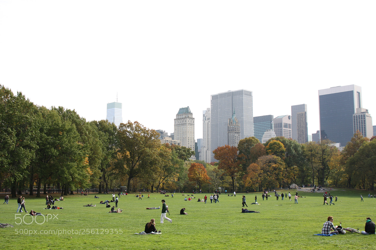 Canon EOS 50D sample photo. New york and boston photography