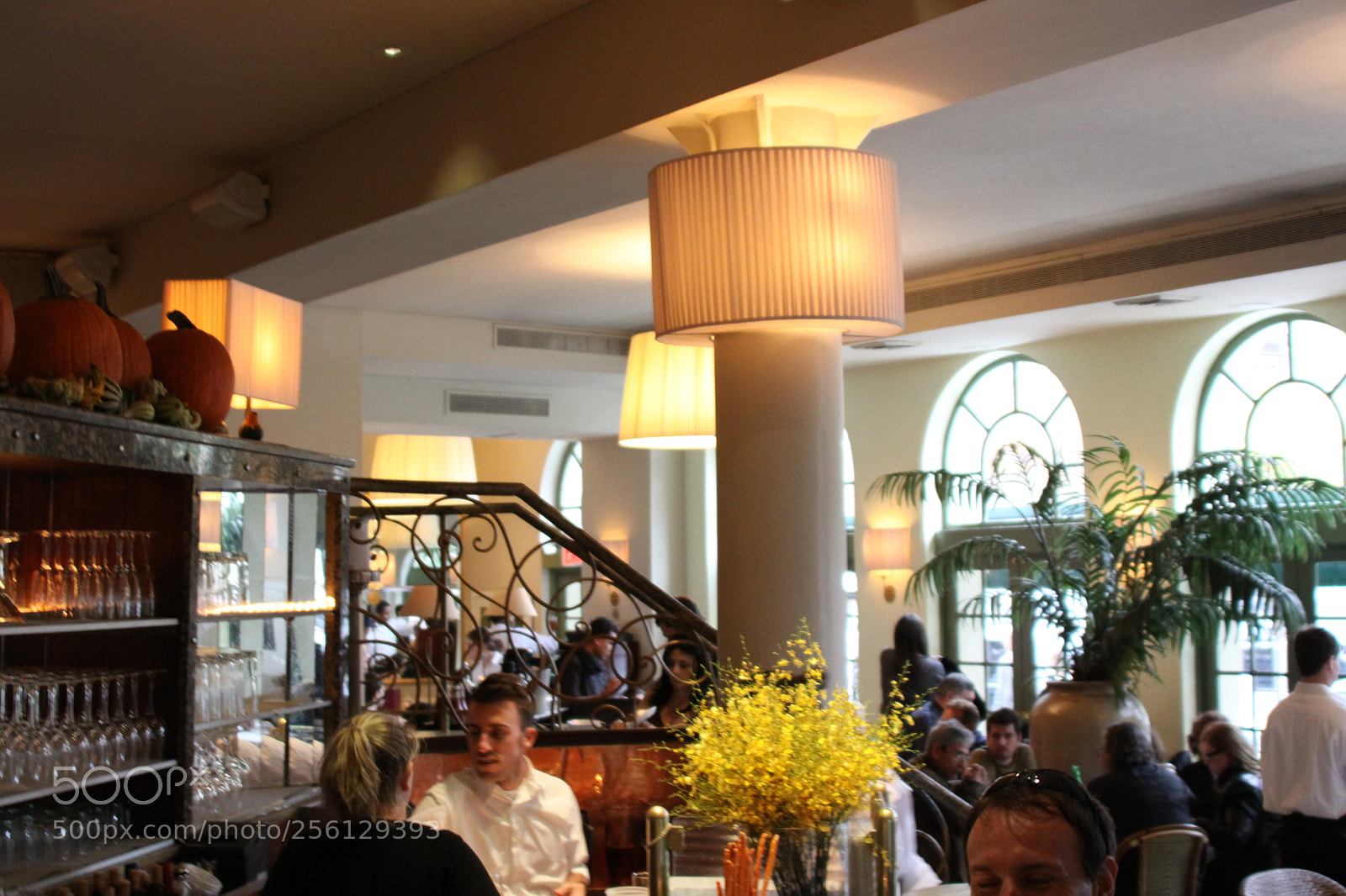 Canon EOS 50D sample photo. New york and boston photography