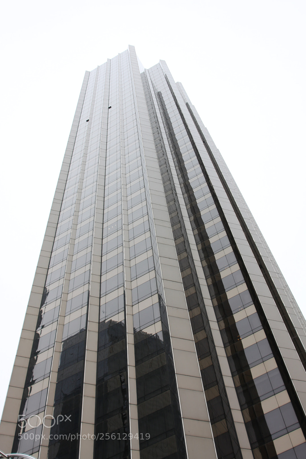 Canon EOS 50D sample photo. New york and boston photography
