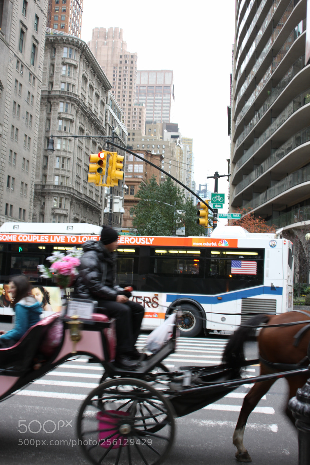 Canon EOS 50D sample photo. New york and boston photography