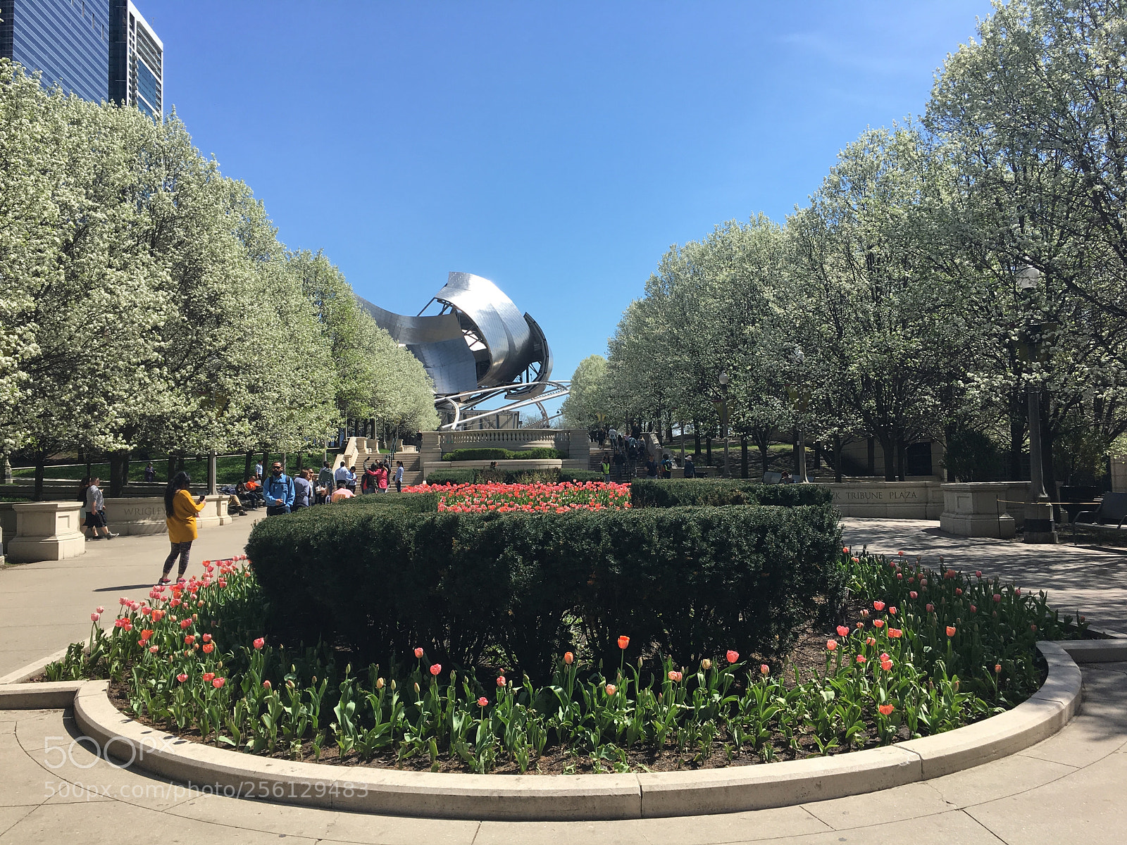 Apple iPhone 6s sample photo. Millennium park photography