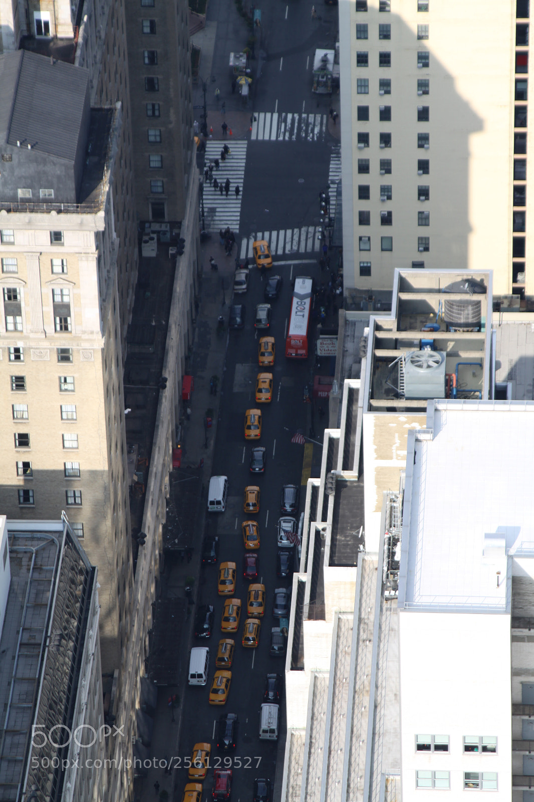 Canon EOS 50D sample photo. New york and boston photography