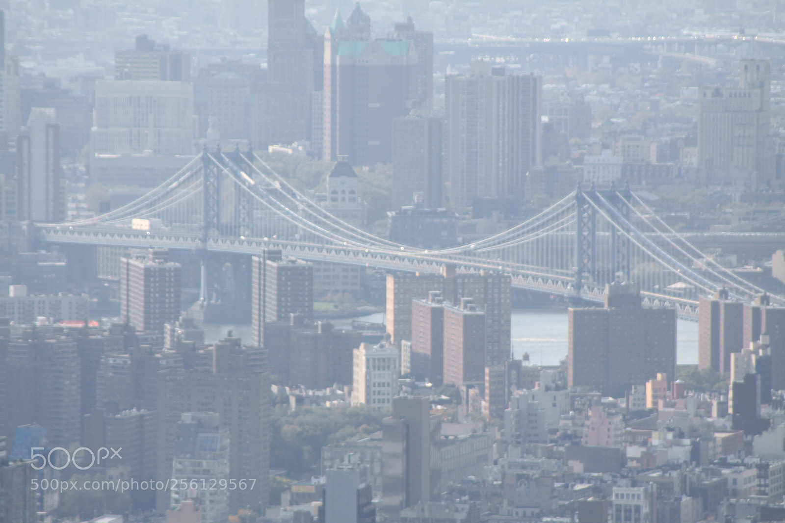 Canon EOS 50D sample photo. New york and boston photography
