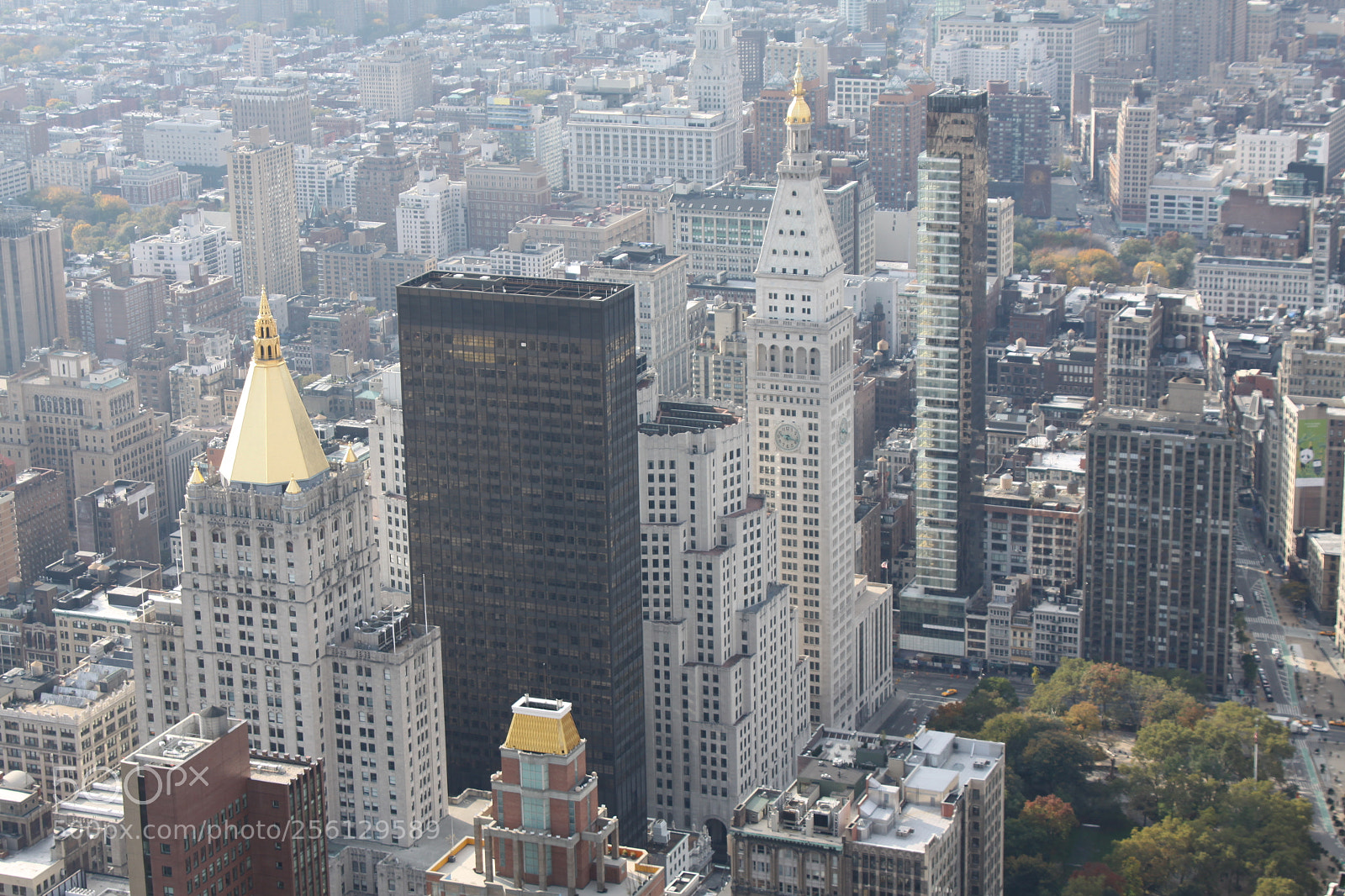 Canon EOS 50D sample photo. New york and boston photography