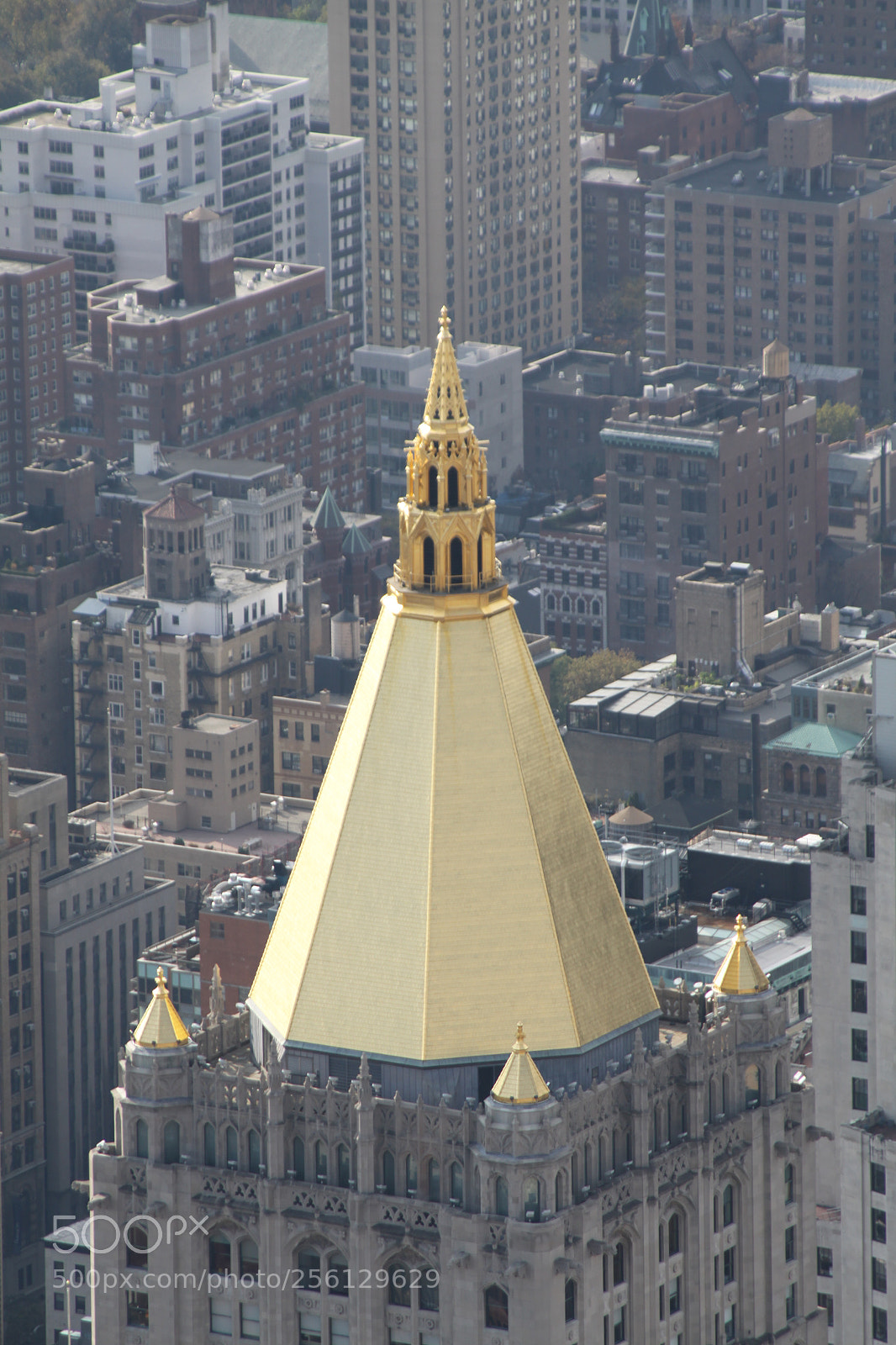 Canon EOS 50D sample photo. New york and boston photography