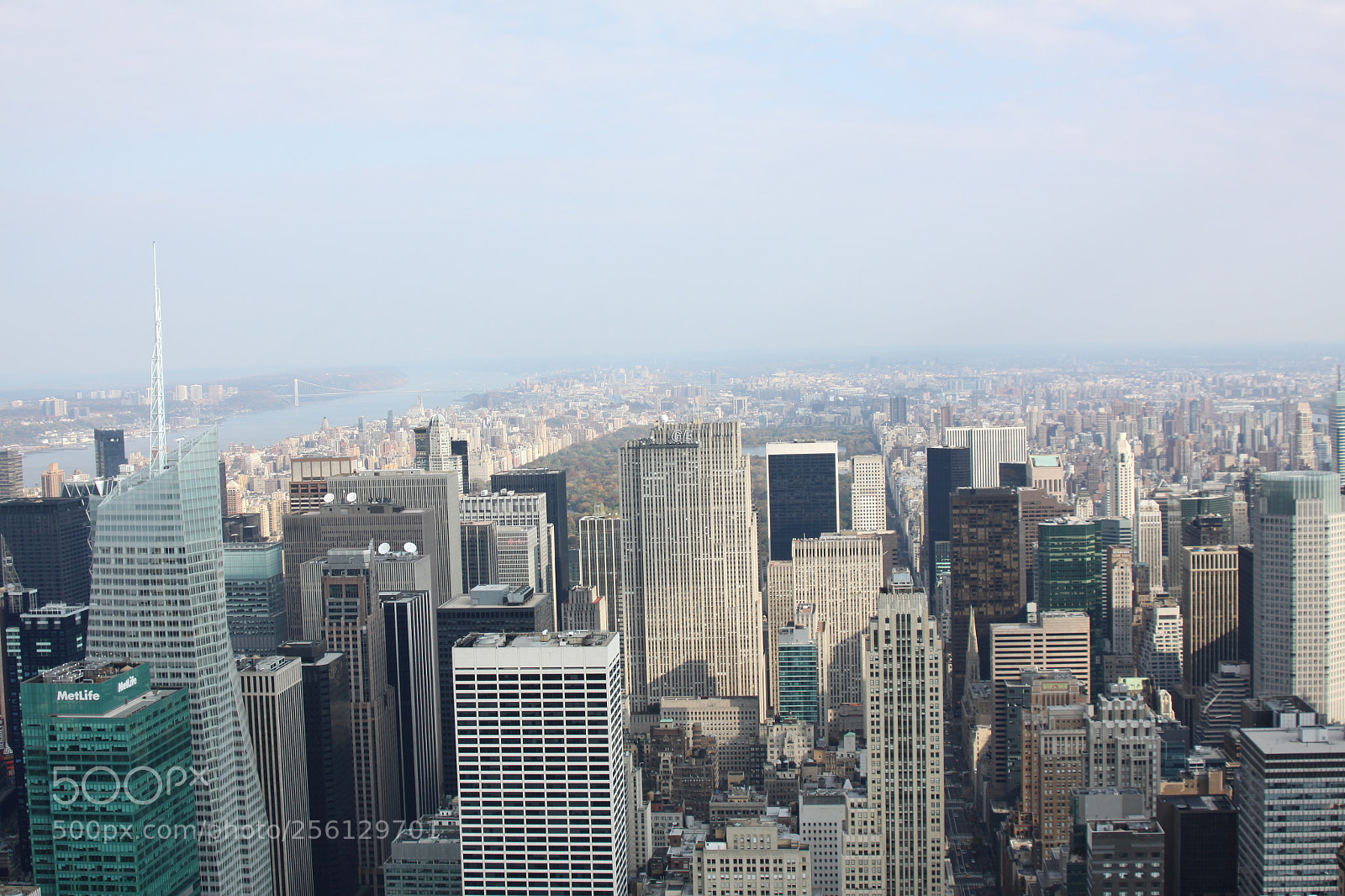 Canon EOS 50D sample photo. New york and boston photography
