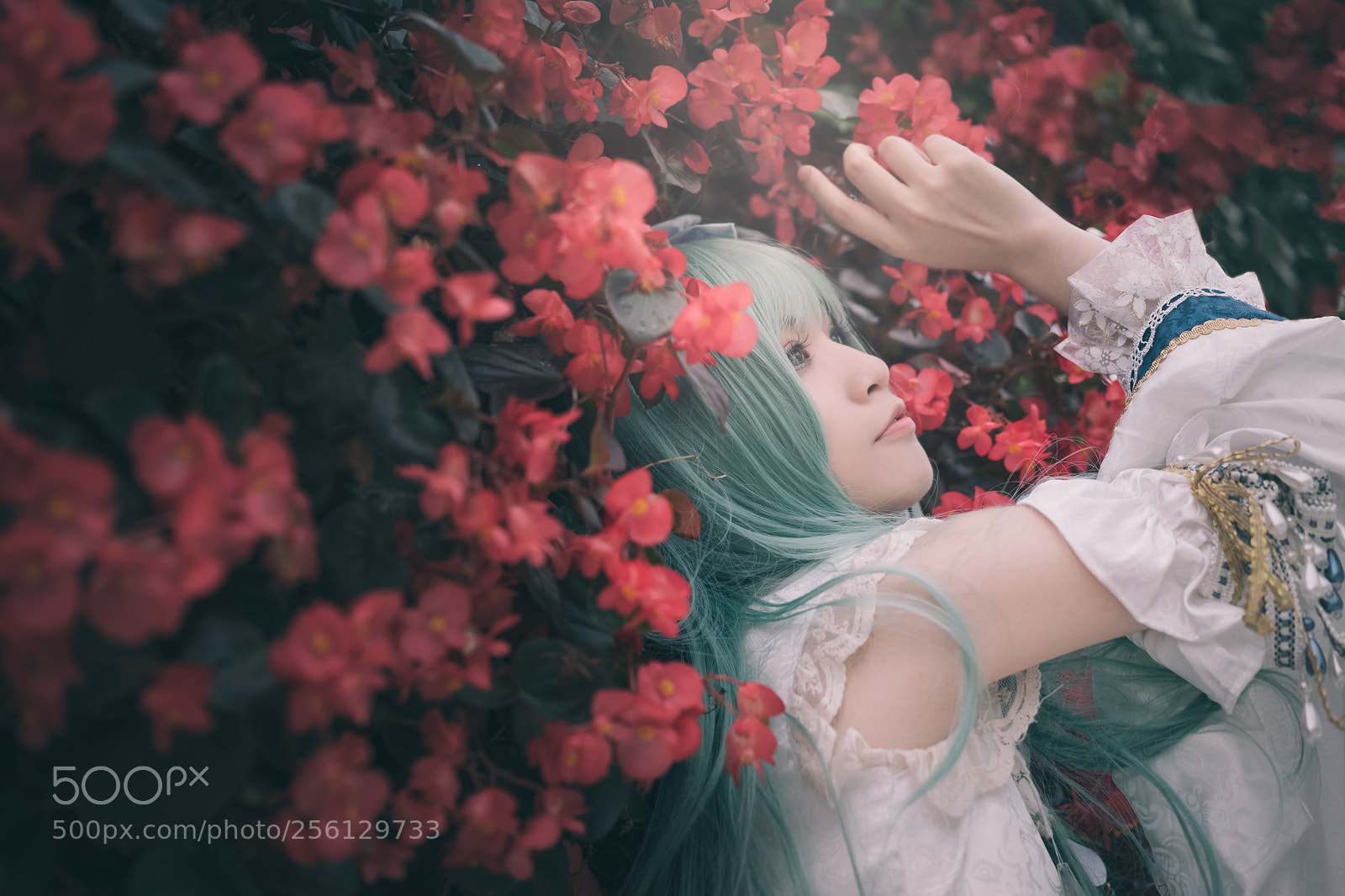 Sony a7 II sample photo. Koti(chi)ya sanae photography