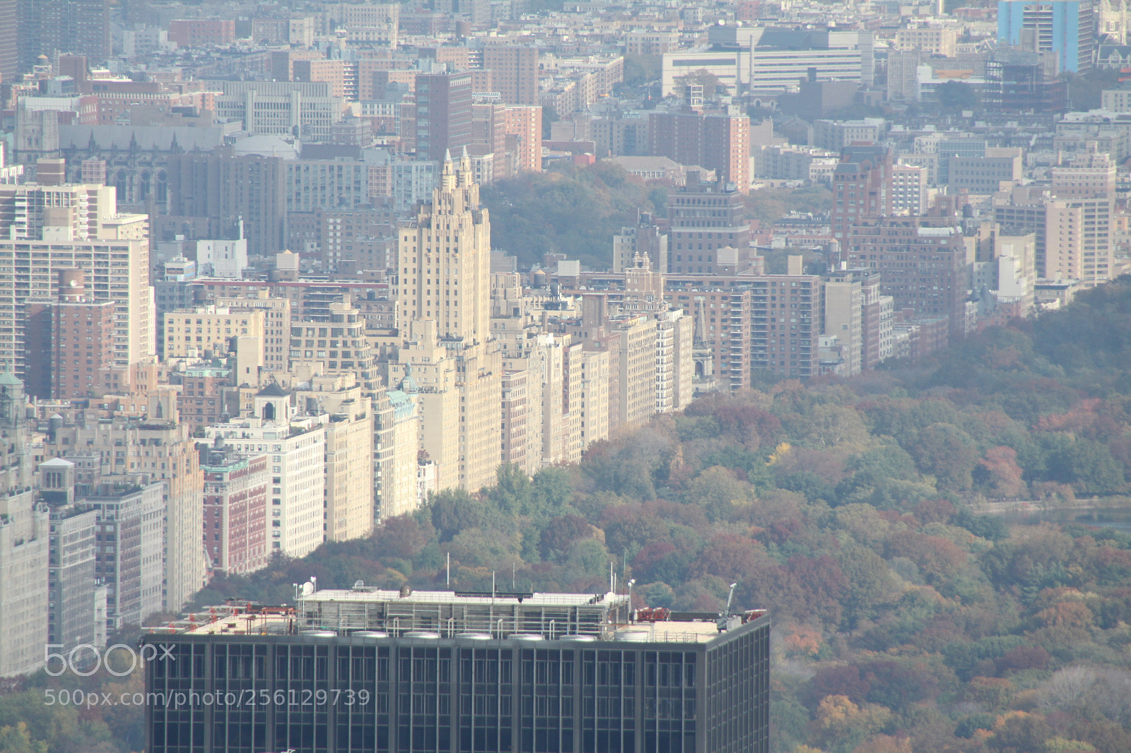 Canon EOS 50D sample photo. New york and boston photography