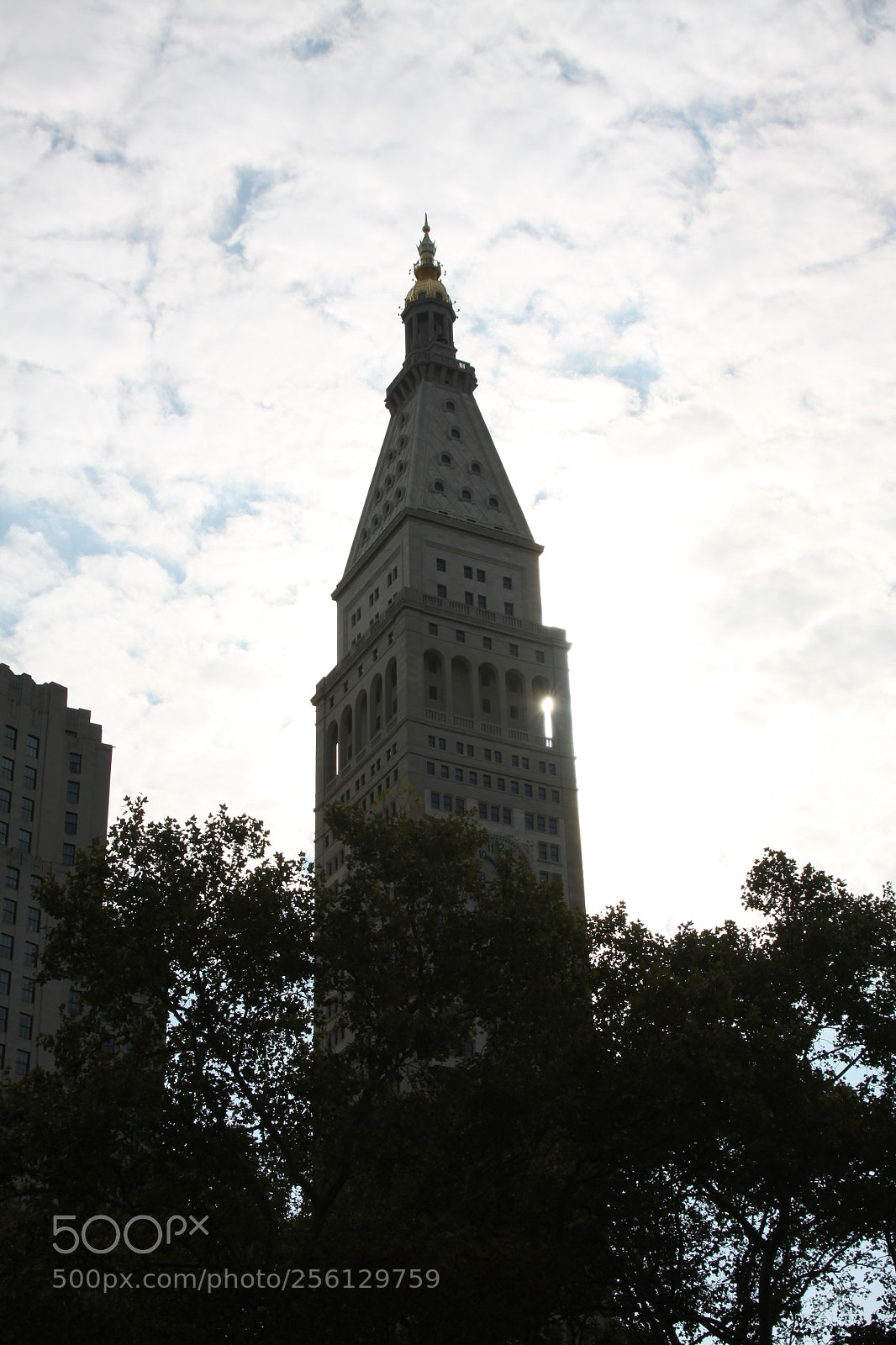 Canon EOS 50D sample photo. New york and boston photography