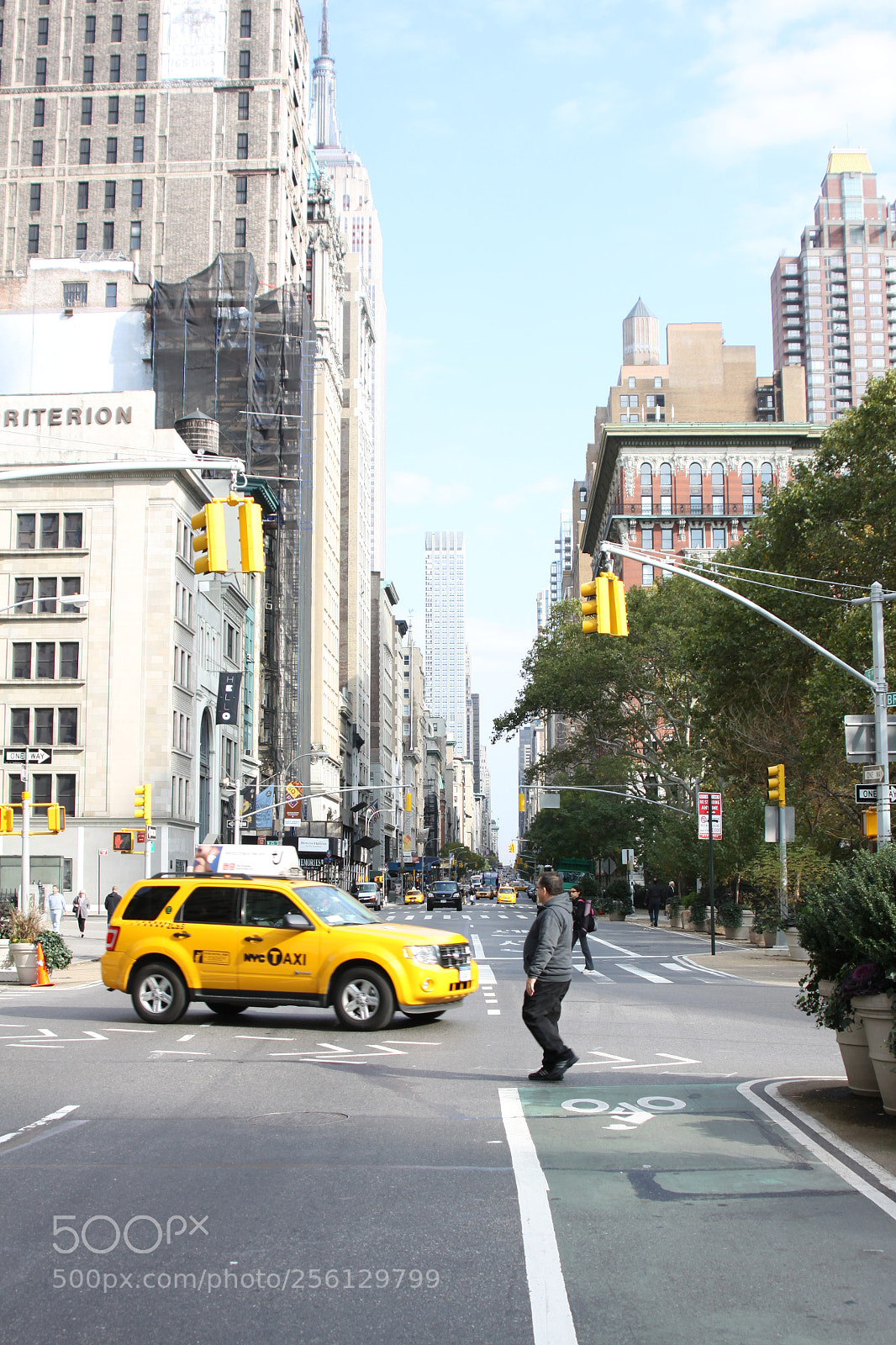 Canon EOS 50D sample photo. New york and boston photography