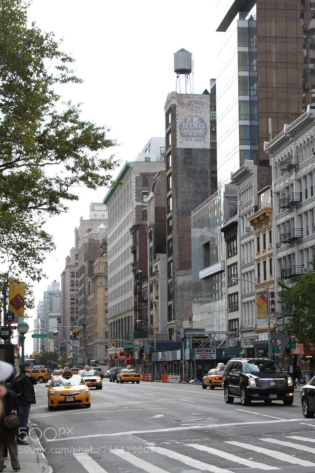 Canon EOS 50D sample photo. New york and boston photography