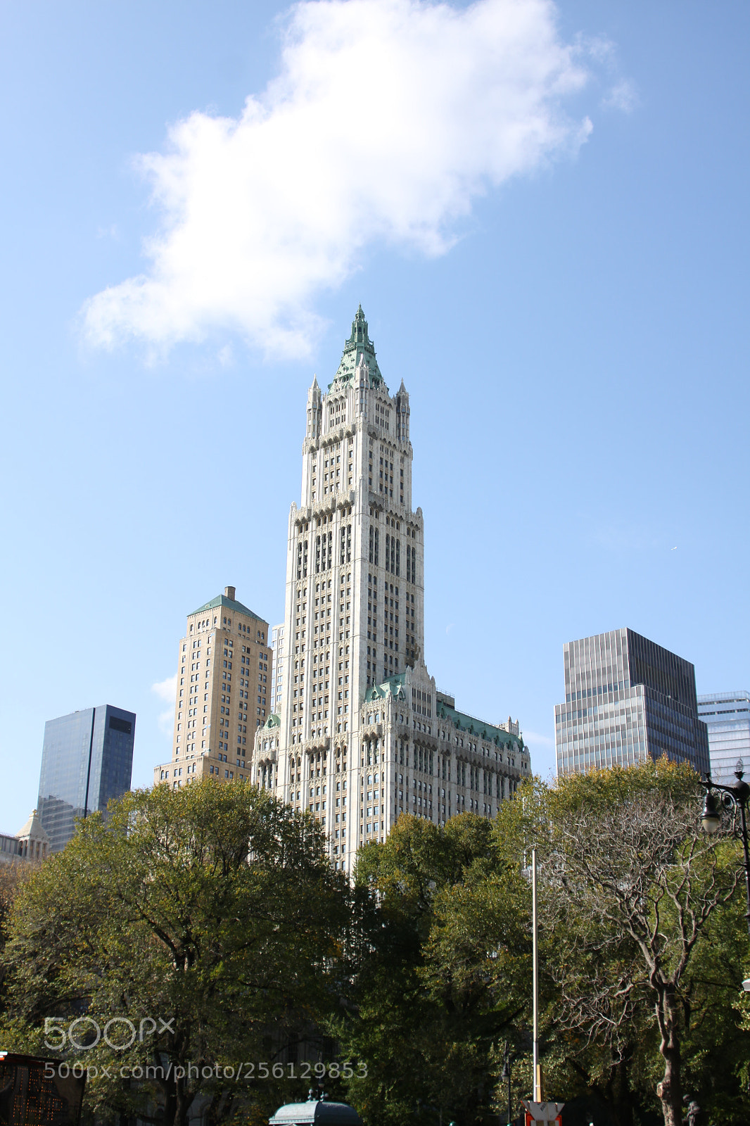 Canon EOS 50D sample photo. New york and boston photography