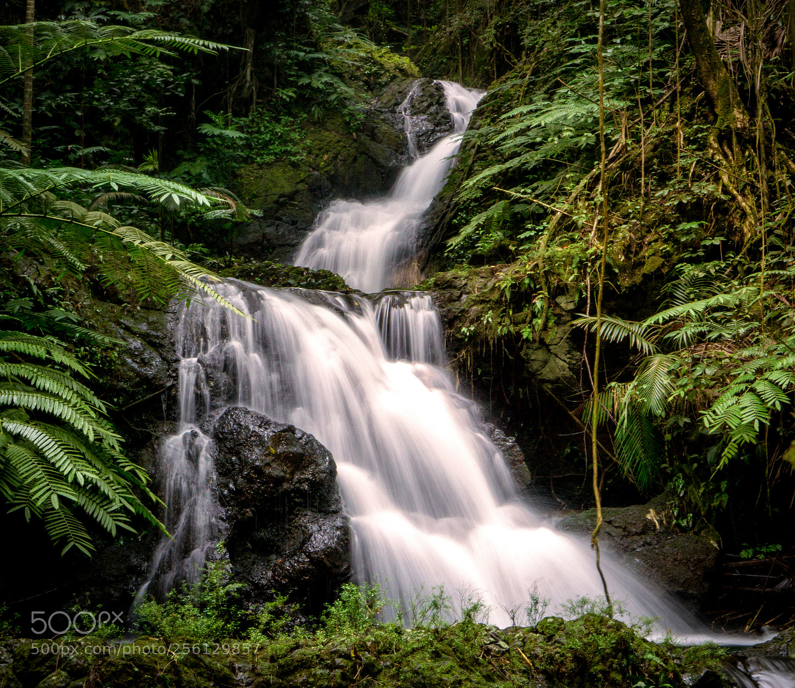 Sony a6000 sample photo. Waterfalls in paradise photography