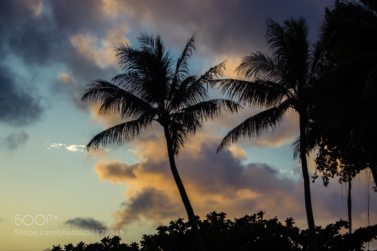 Canon EOS 1200D (EOS Rebel T5 / EOS Kiss X70 / EOS Hi) sample photo. North shore photography