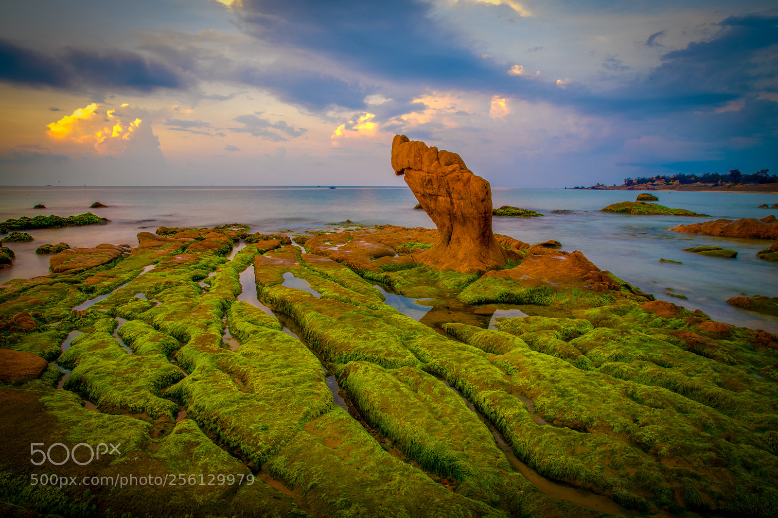 Canon EOS 6D Mark II sample photo. Co thach beach photography