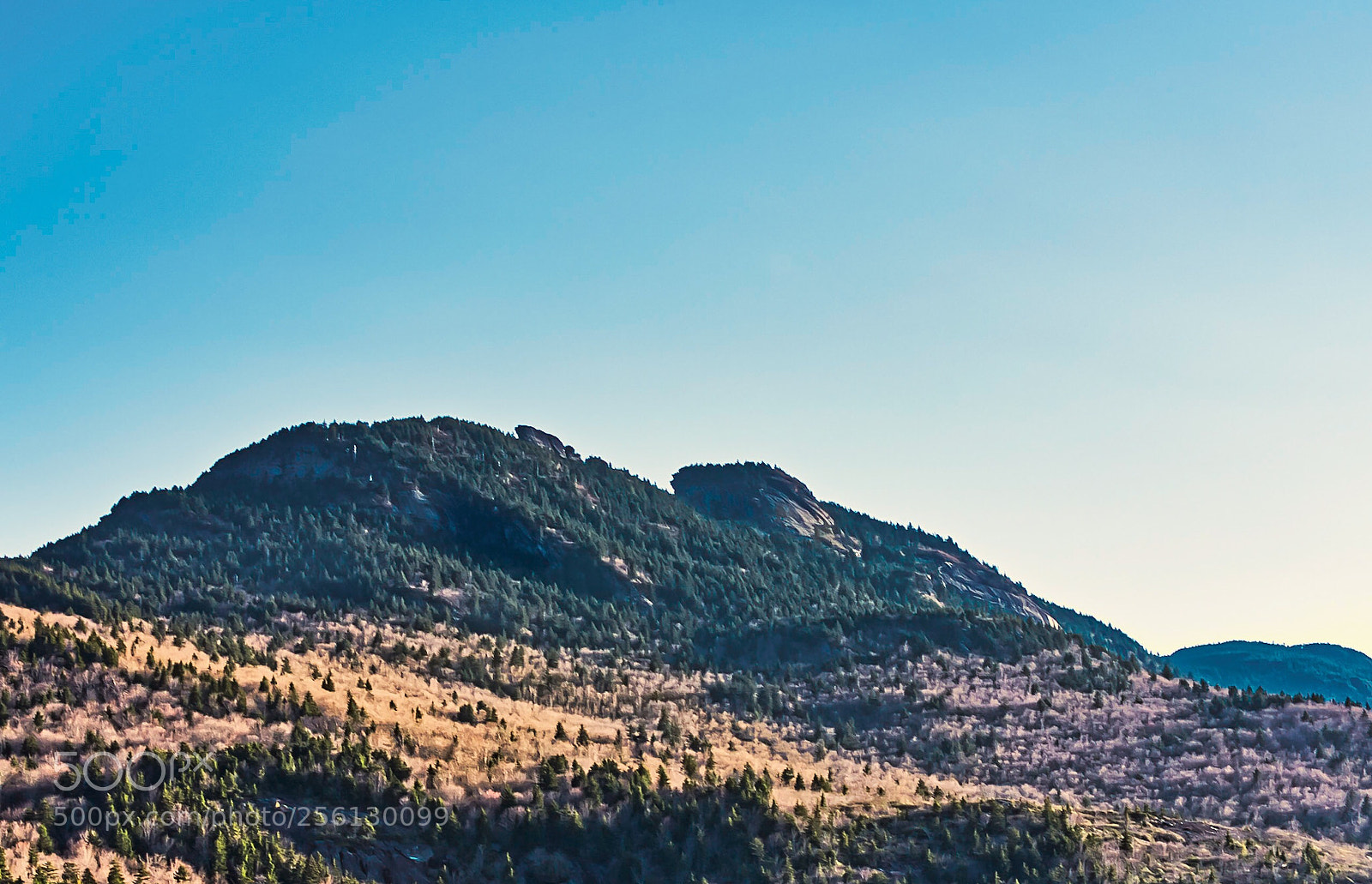 Nikon D750 sample photo. Grandfather mountain  photography