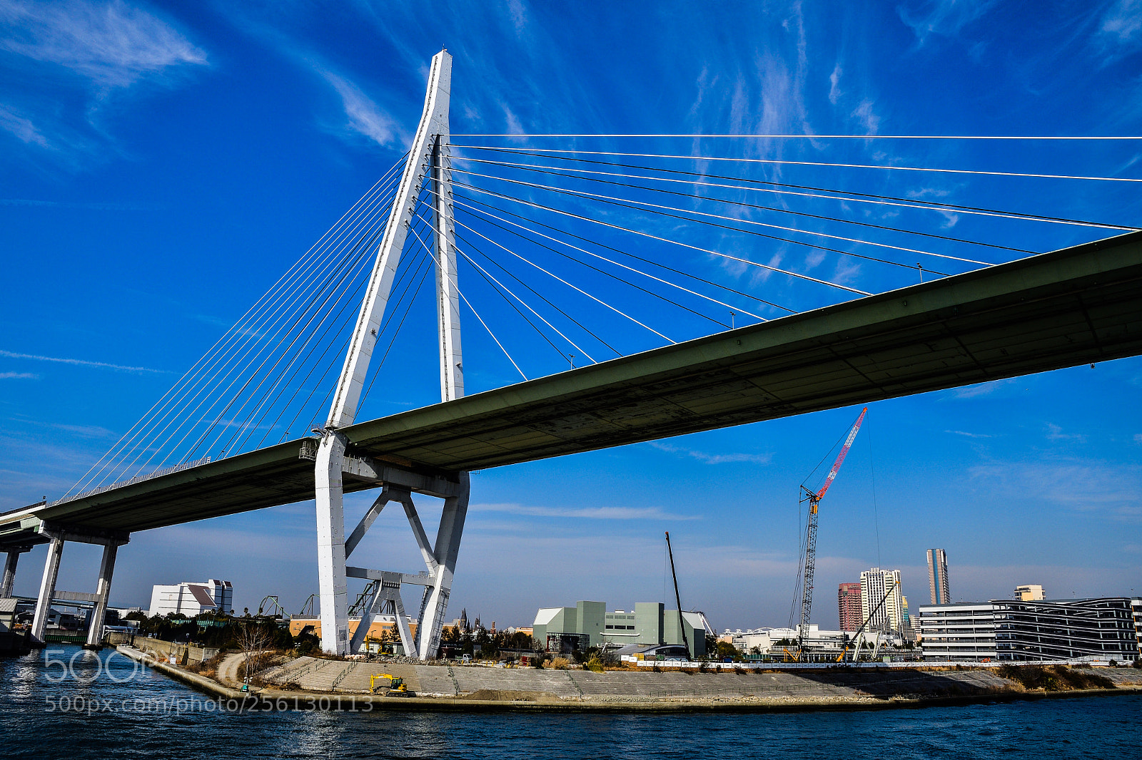 Nikon D500 sample photo. A bridge to the photography