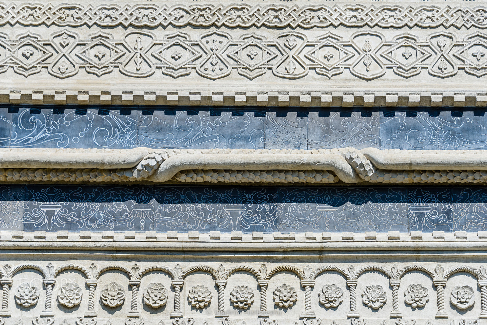Nikon D810 sample photo. The serpent photography